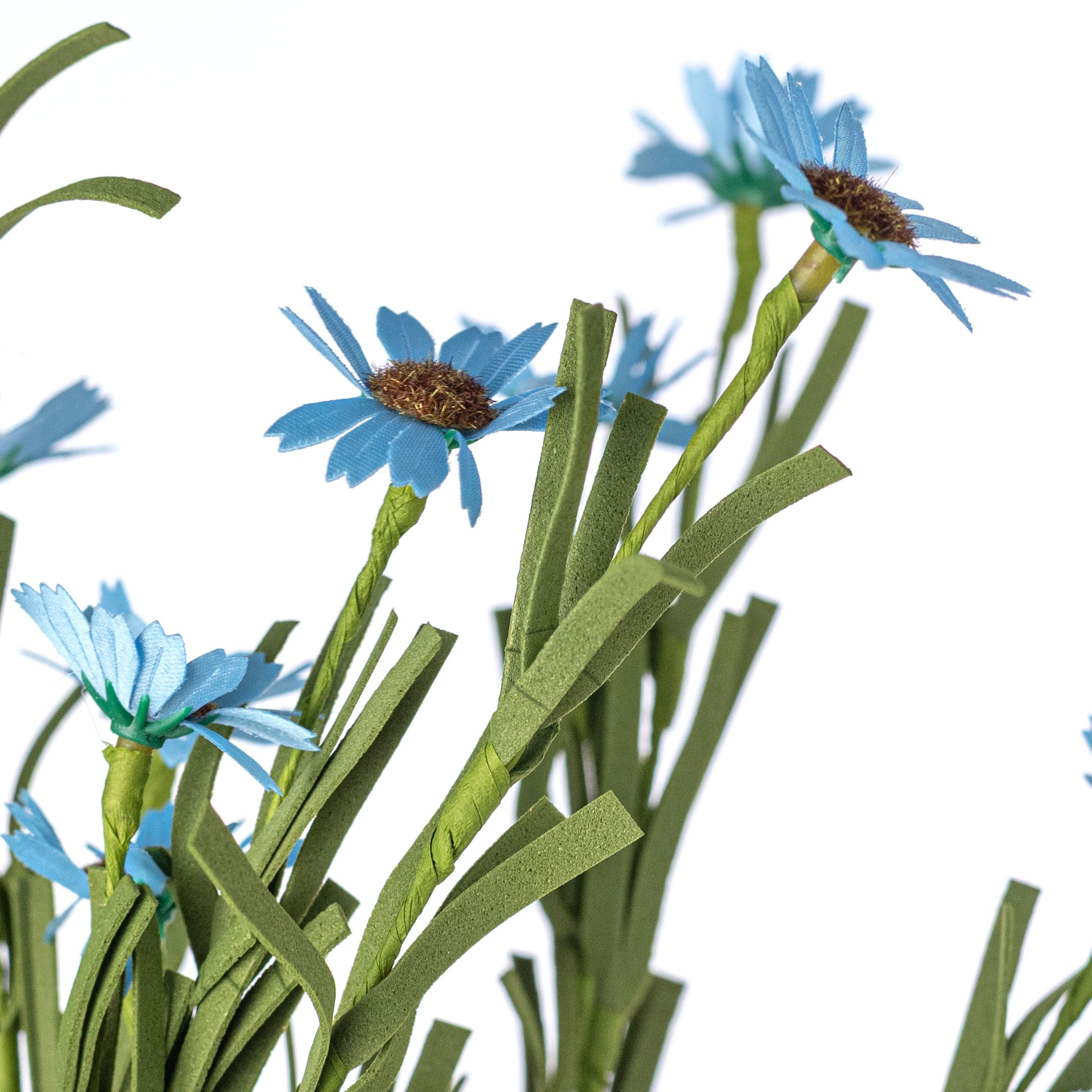 18" Mini Mountain Daisy Bush: Blue detail photo 4