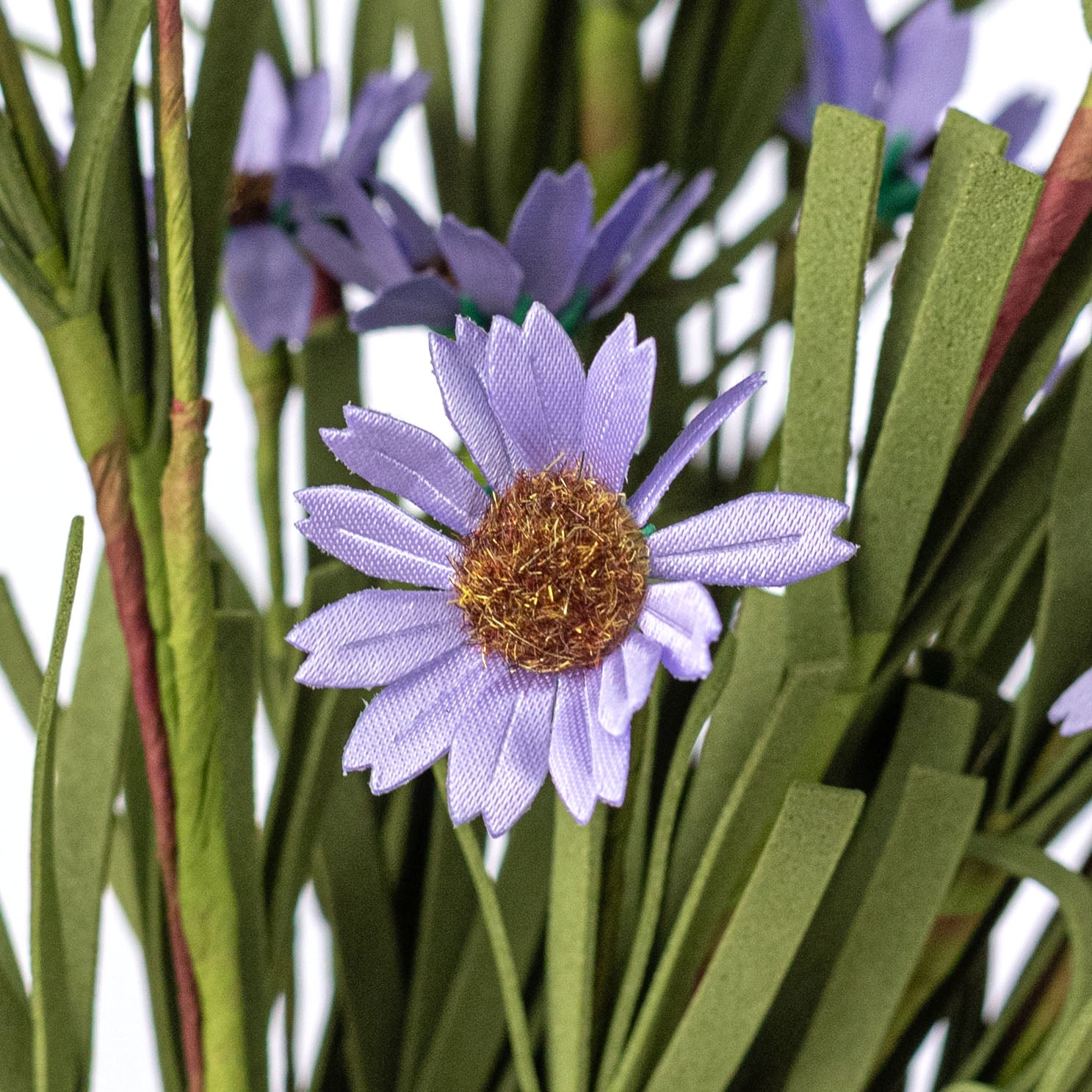 18" Mini Mountain Daisy Bush: Lavender Lifestyle Photo