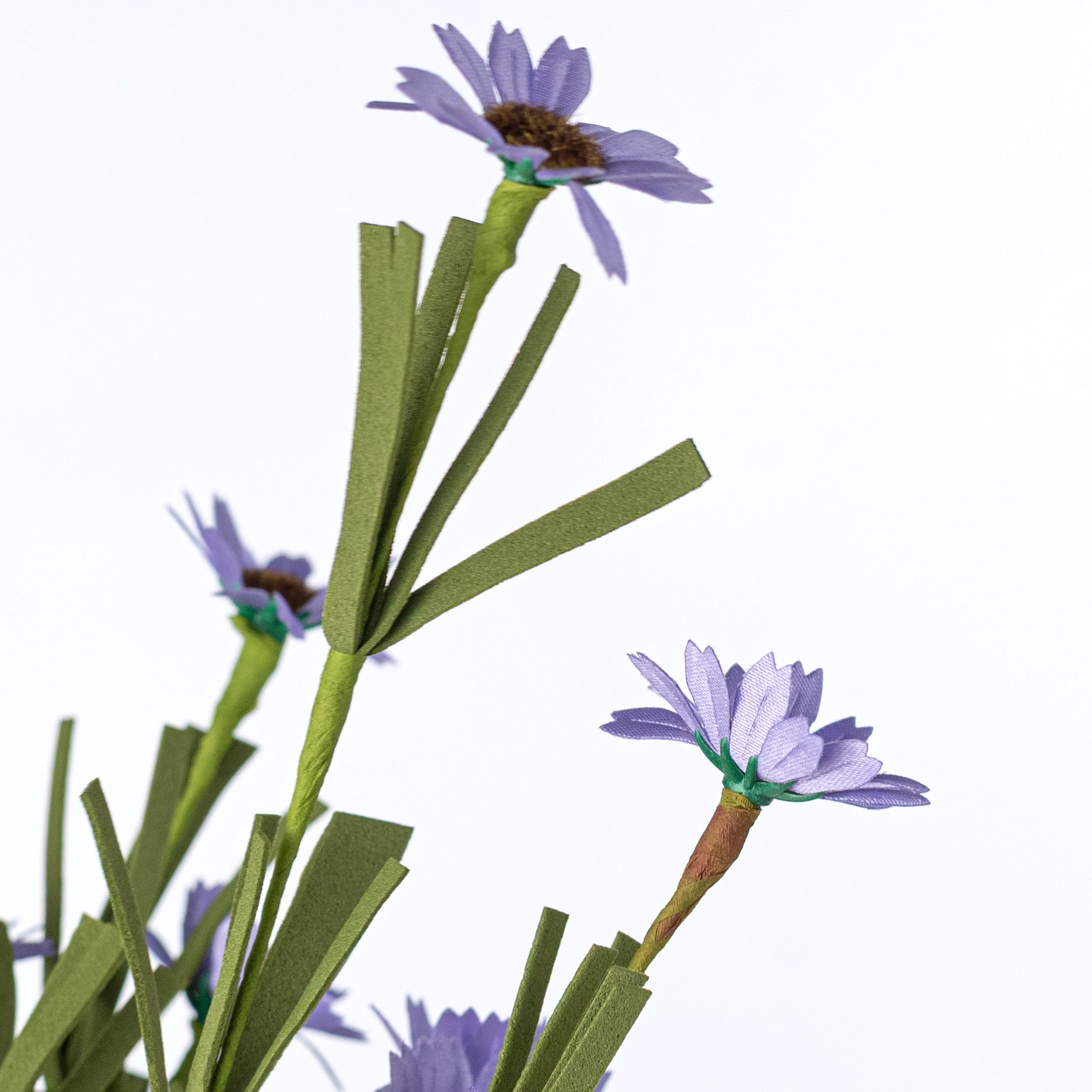 18" Mini Mountain Daisy Bush: Lavender detail photo 4