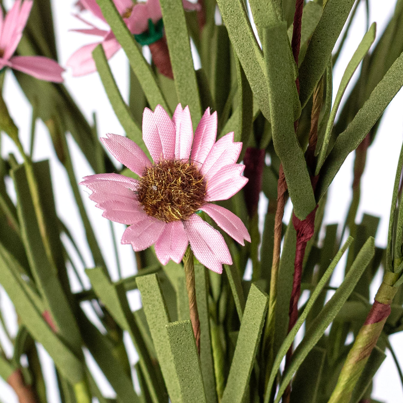 18" Mini Mountain Daisy Bush: Pink Lifestyle Photo