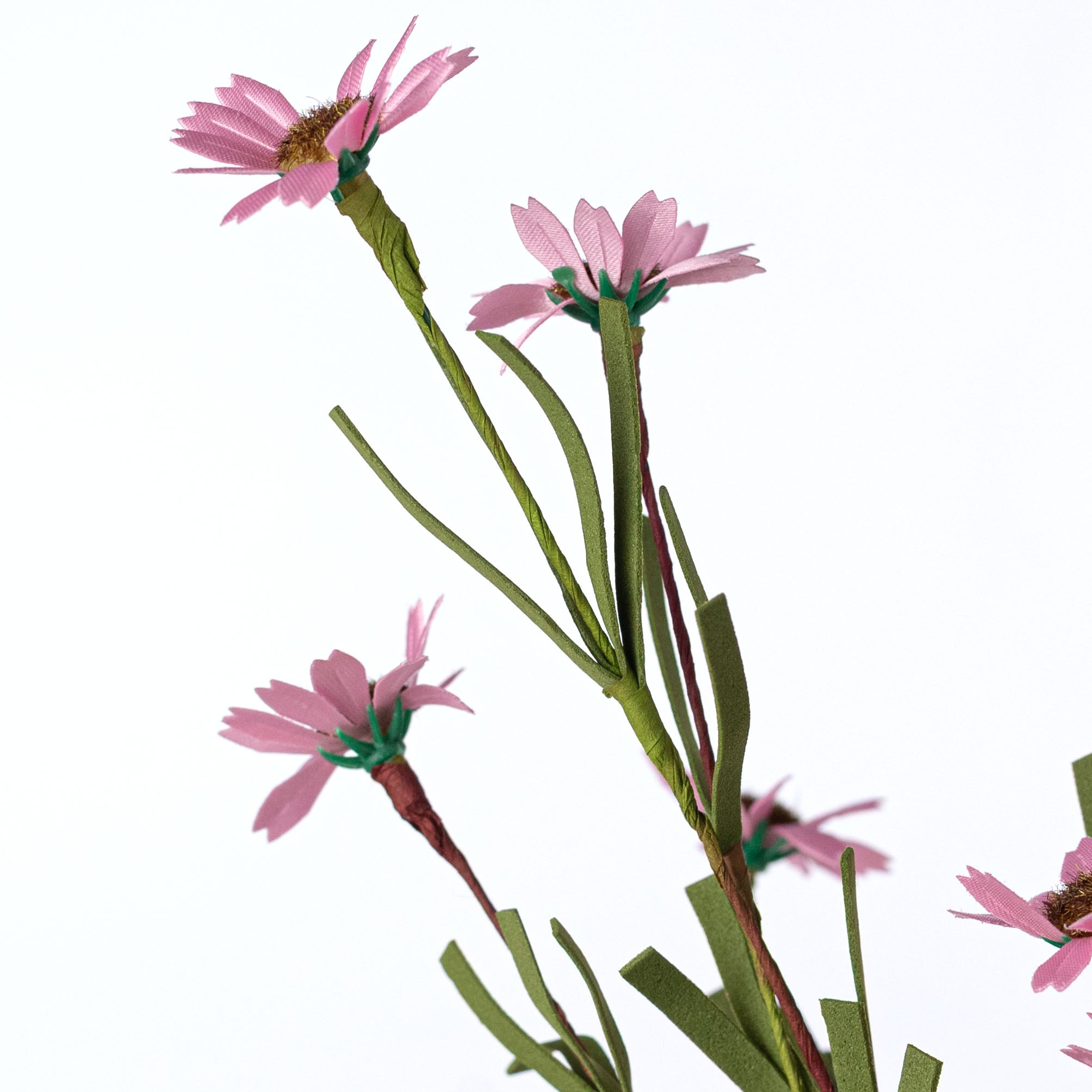 18" Mini Mountain Daisy Bush: Pink detail photo 4