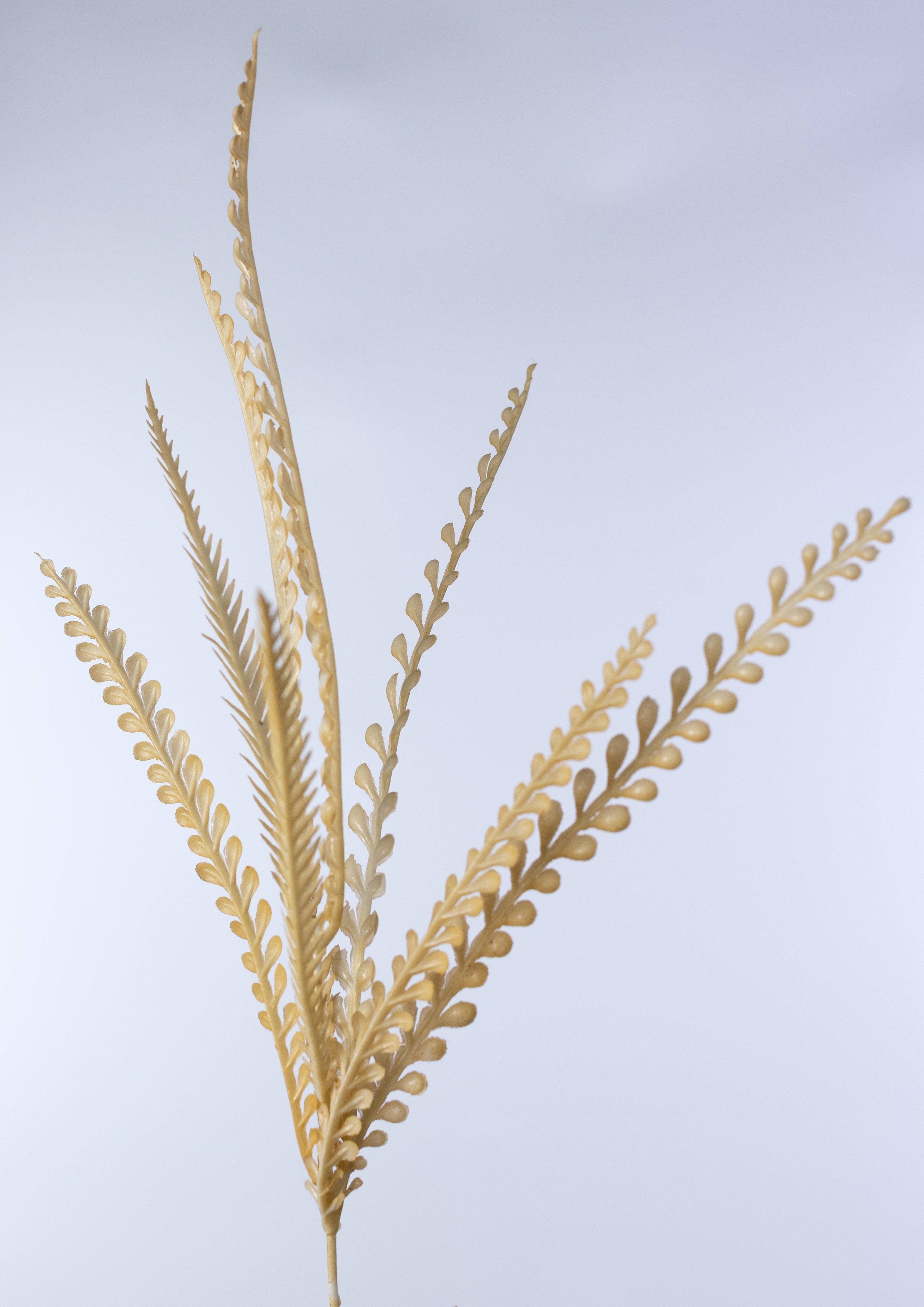 18" Plastic Button Fern Bush: Beige detail photo 5
