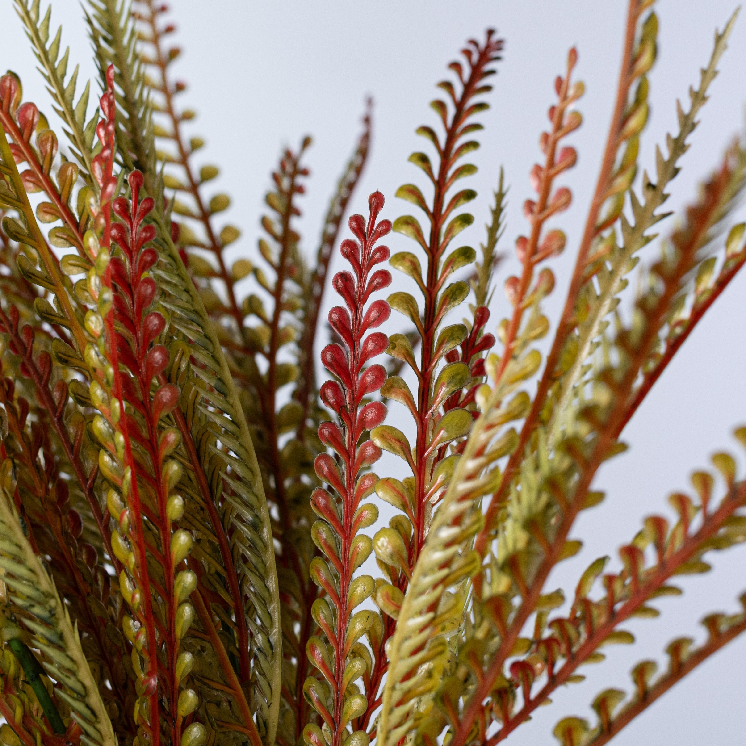 18" Plastic Button Fern Bush: Fall Brown & Green Lifestyle Photo