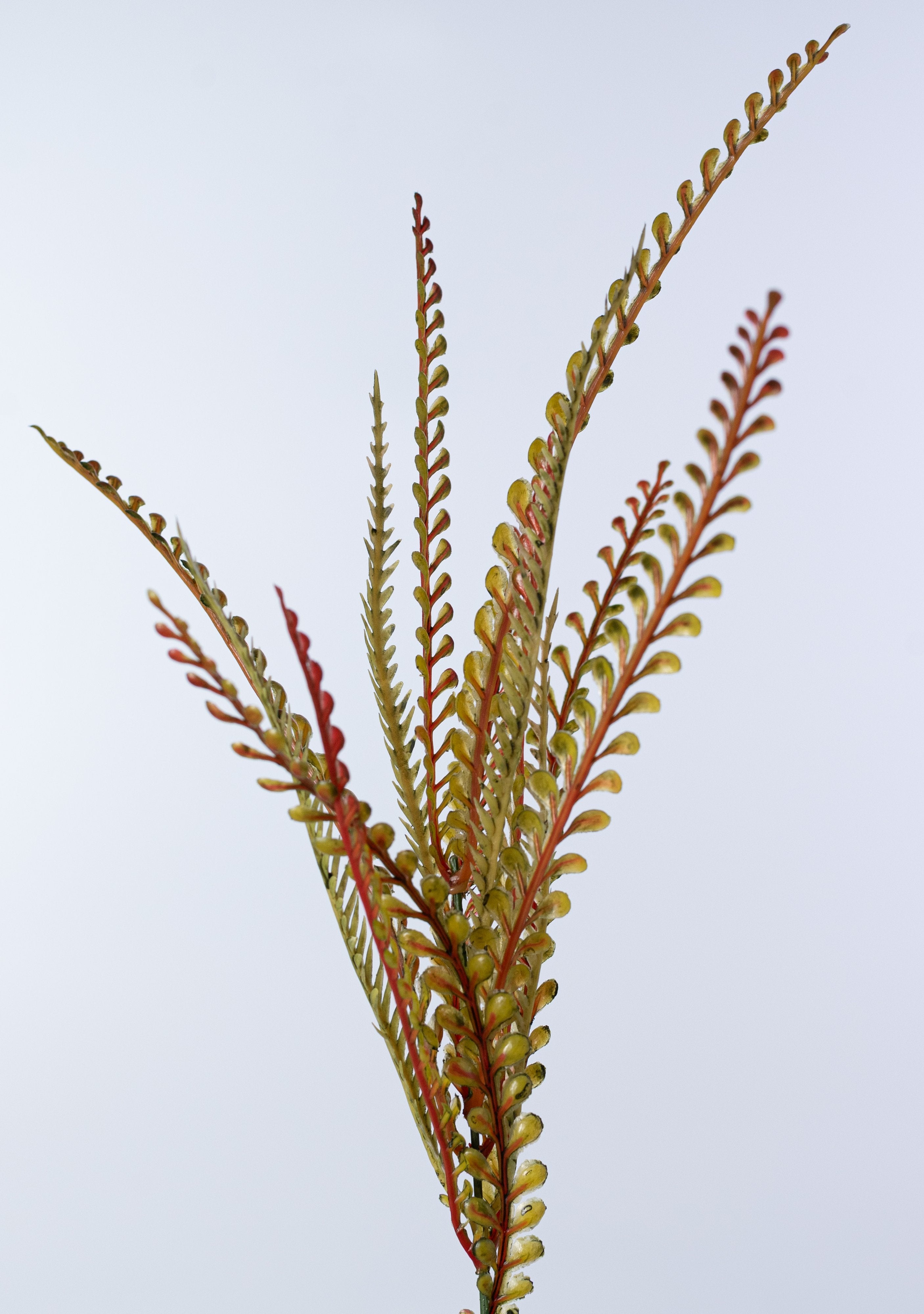 18" Plastic Button Fern Bush: Fall Brown & Green detail photo 5