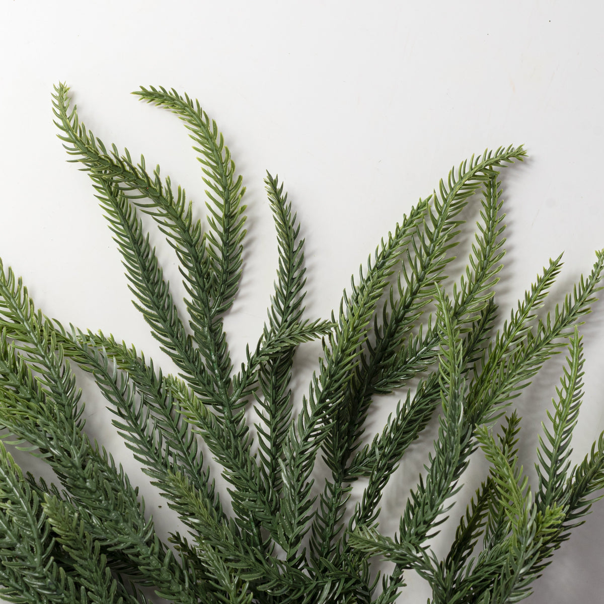 18" Real Touch Norfolk Pine Pick: Evergreen (7 Tips) Lifestyle Photo