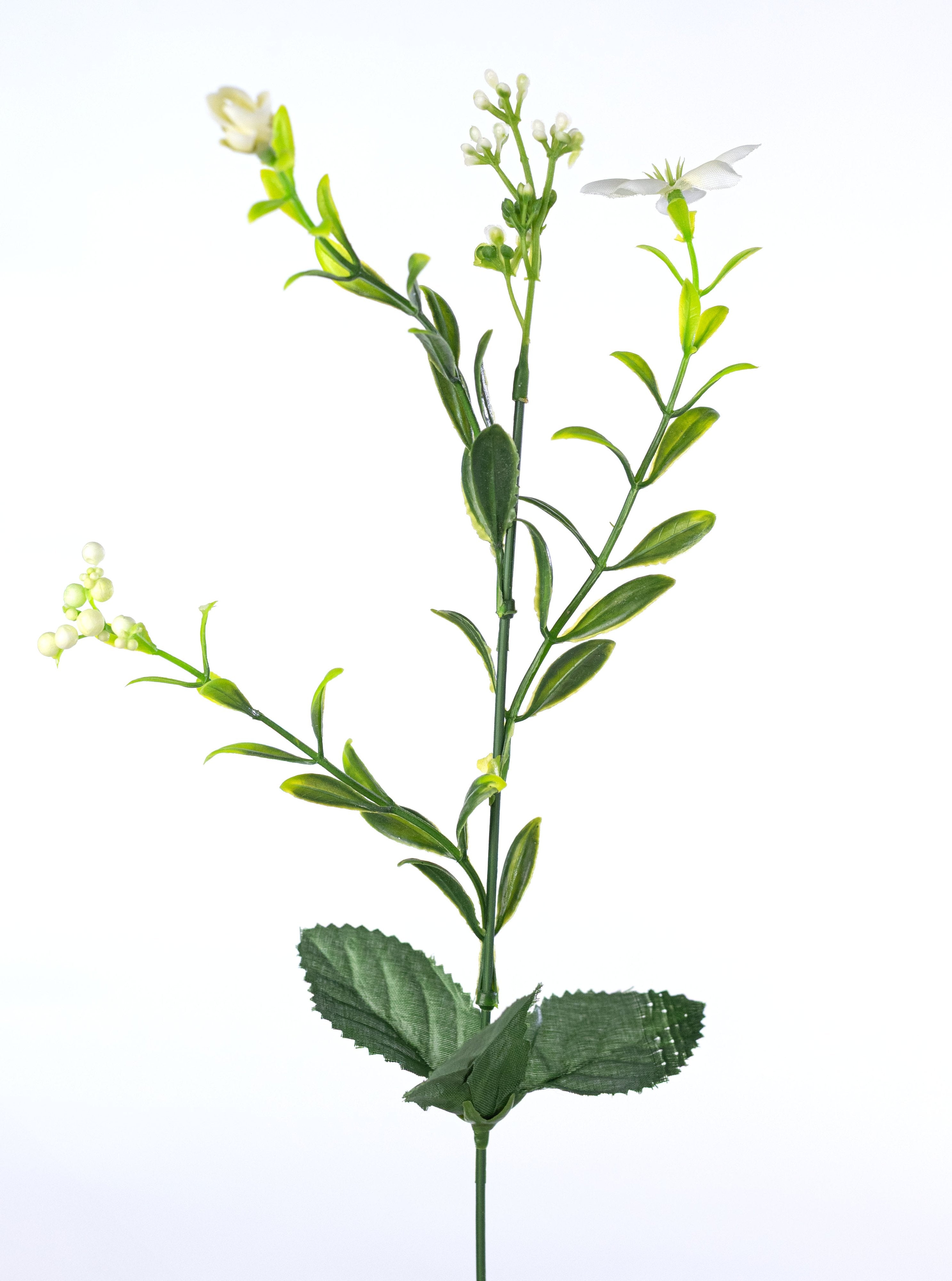 18" Star Flower Berry Bush: Cream detail photo 5