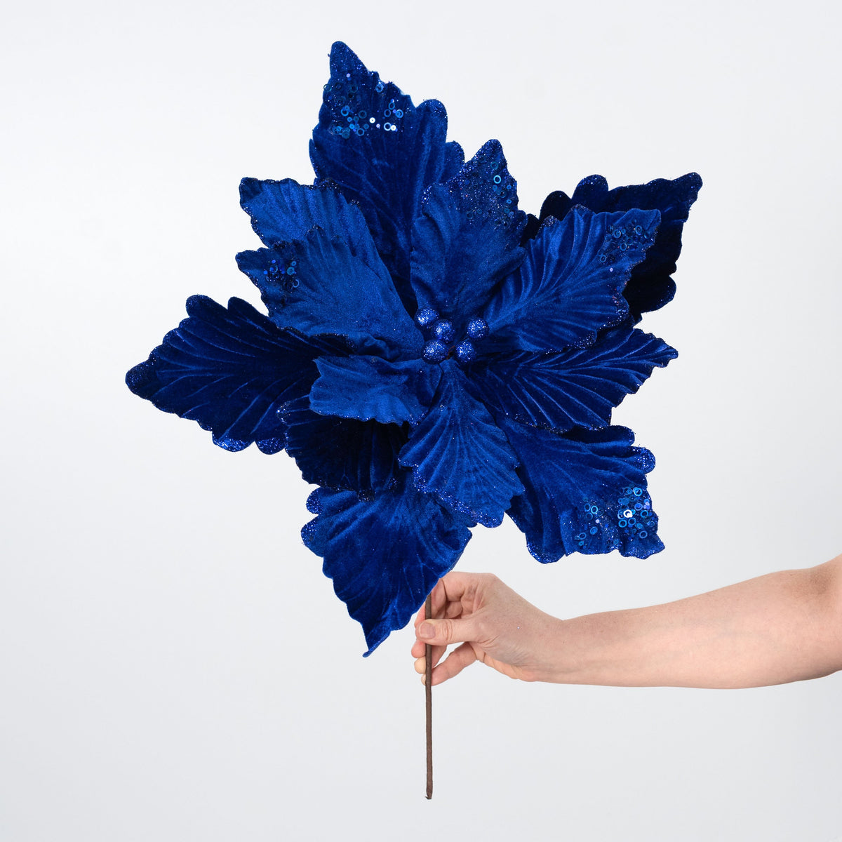 19" x 16" Deluxe Jumbo Velvet Poinsettia Stem: Royal Blue detail photo 3