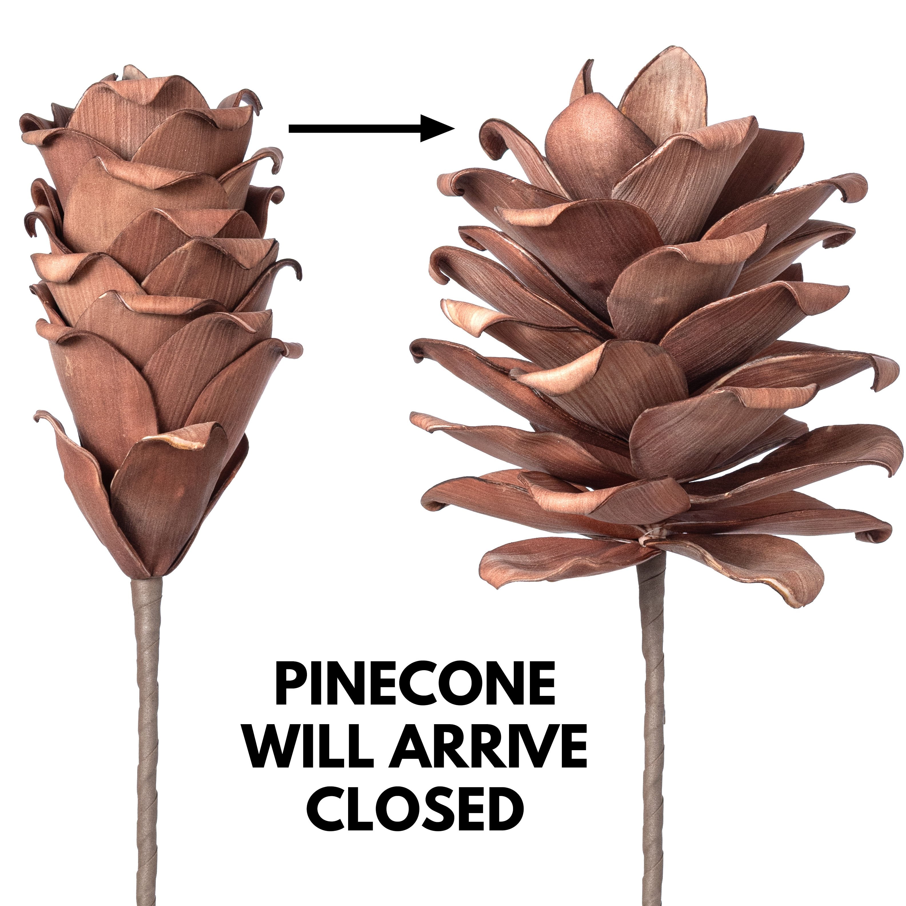 19" Foam Pinecone Pick: Mocha Brown detail photo 3