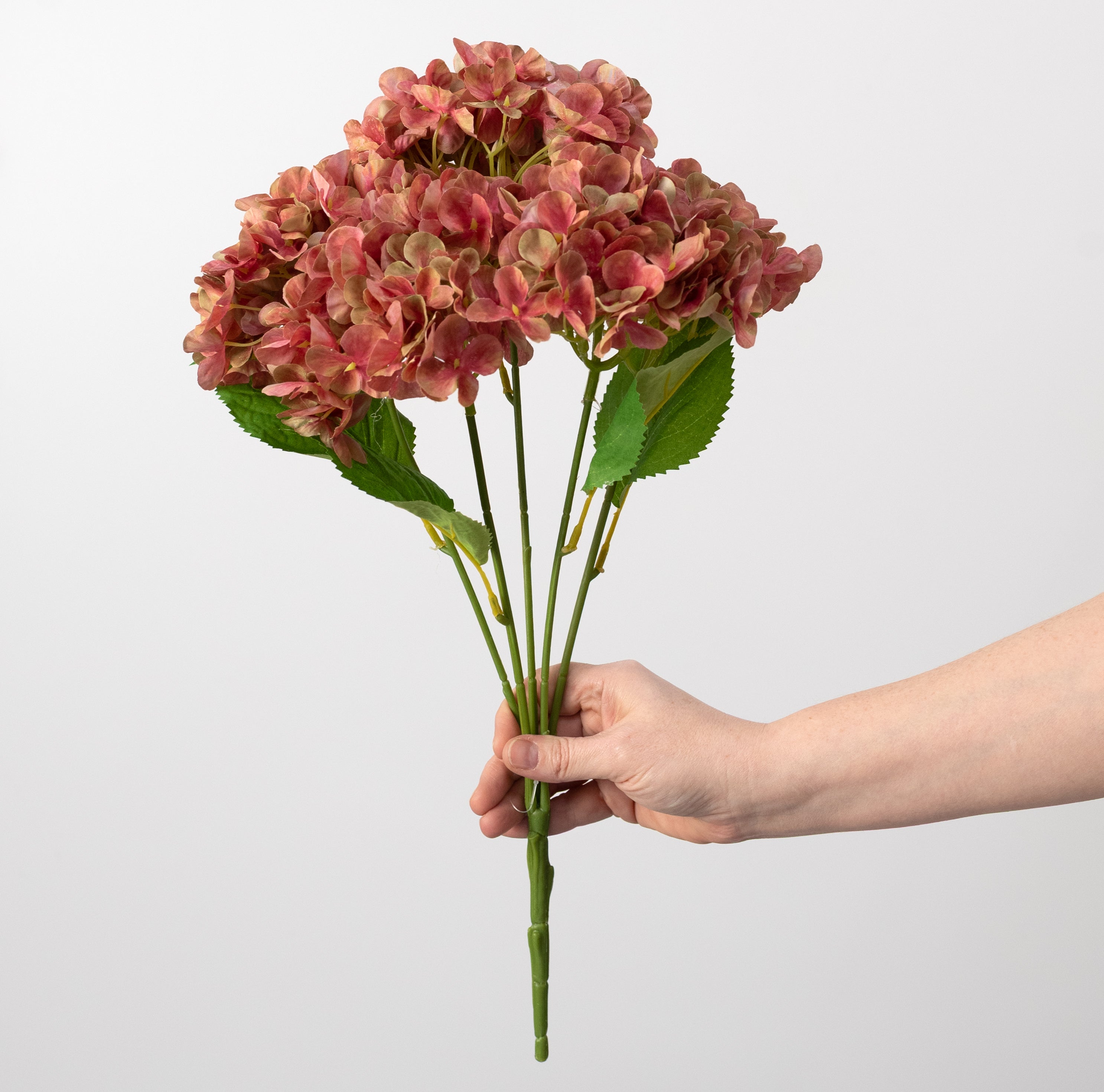 19" Hydrangea Bush: Dusty Salmon Pink (5 Stem) detail photo 3