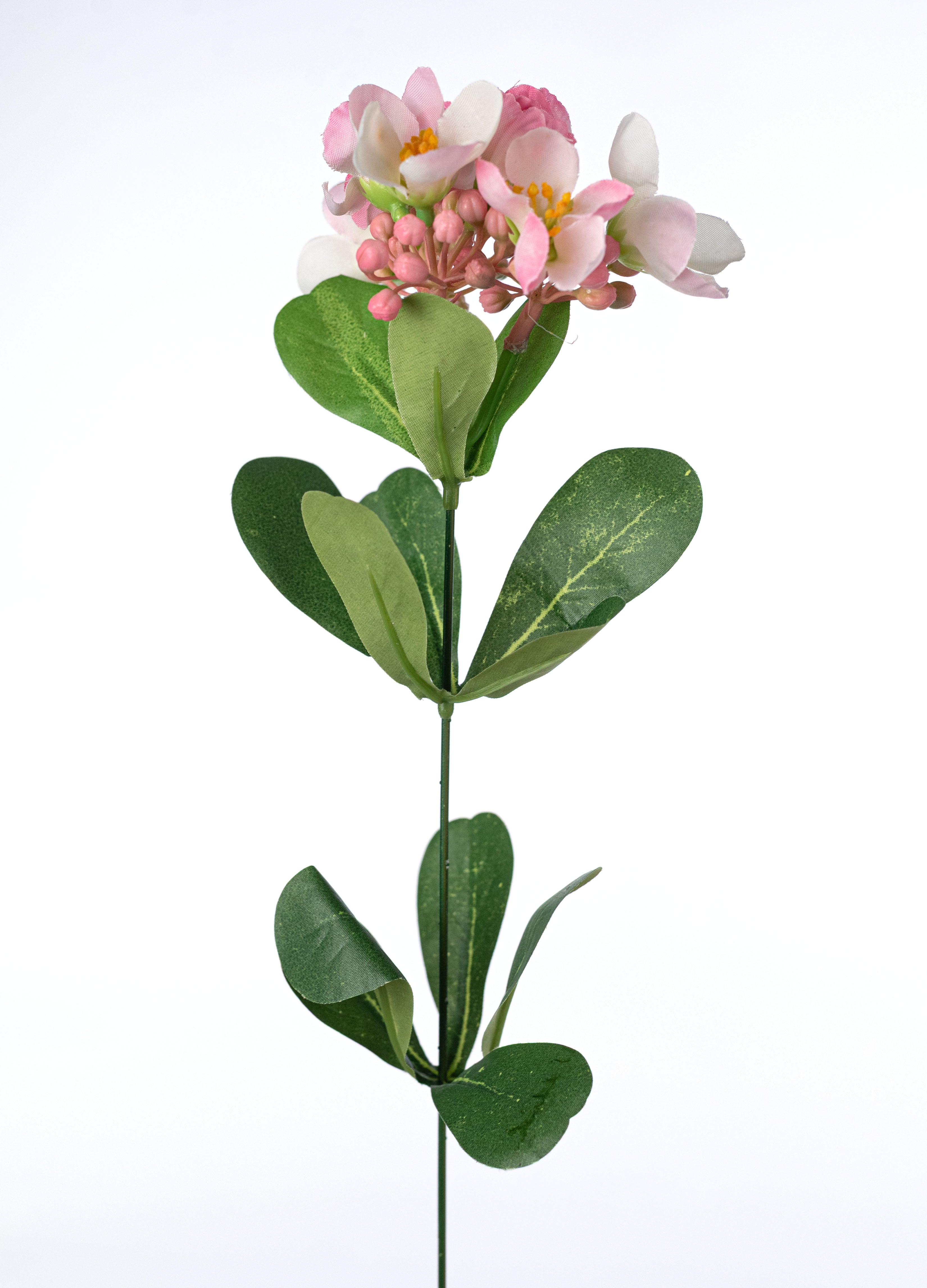 19" Jasmine Blossom Bush: Pink (12 Stem) detail photo 5