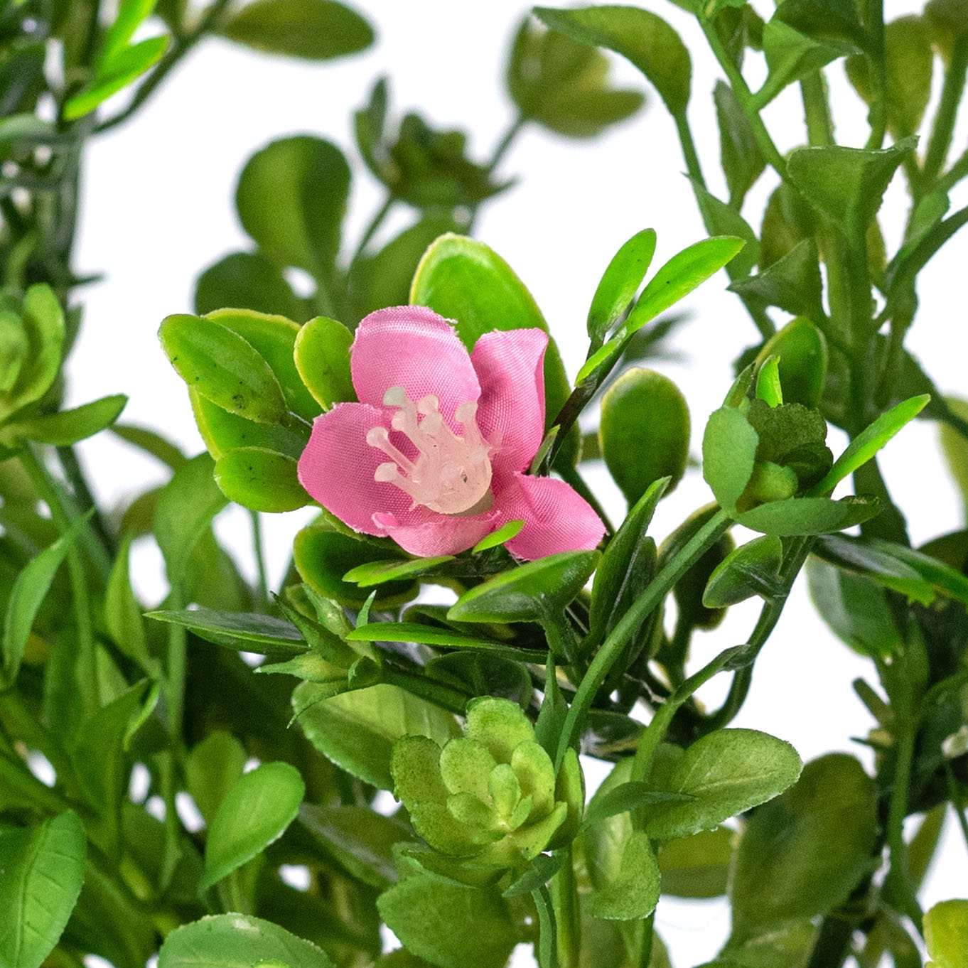 19" Spring Blossoms in Boxwood Bush Lifestyle Photo