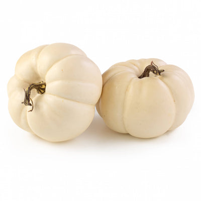 6" Artificial Pumpkins: Cream / White (Set of 2)