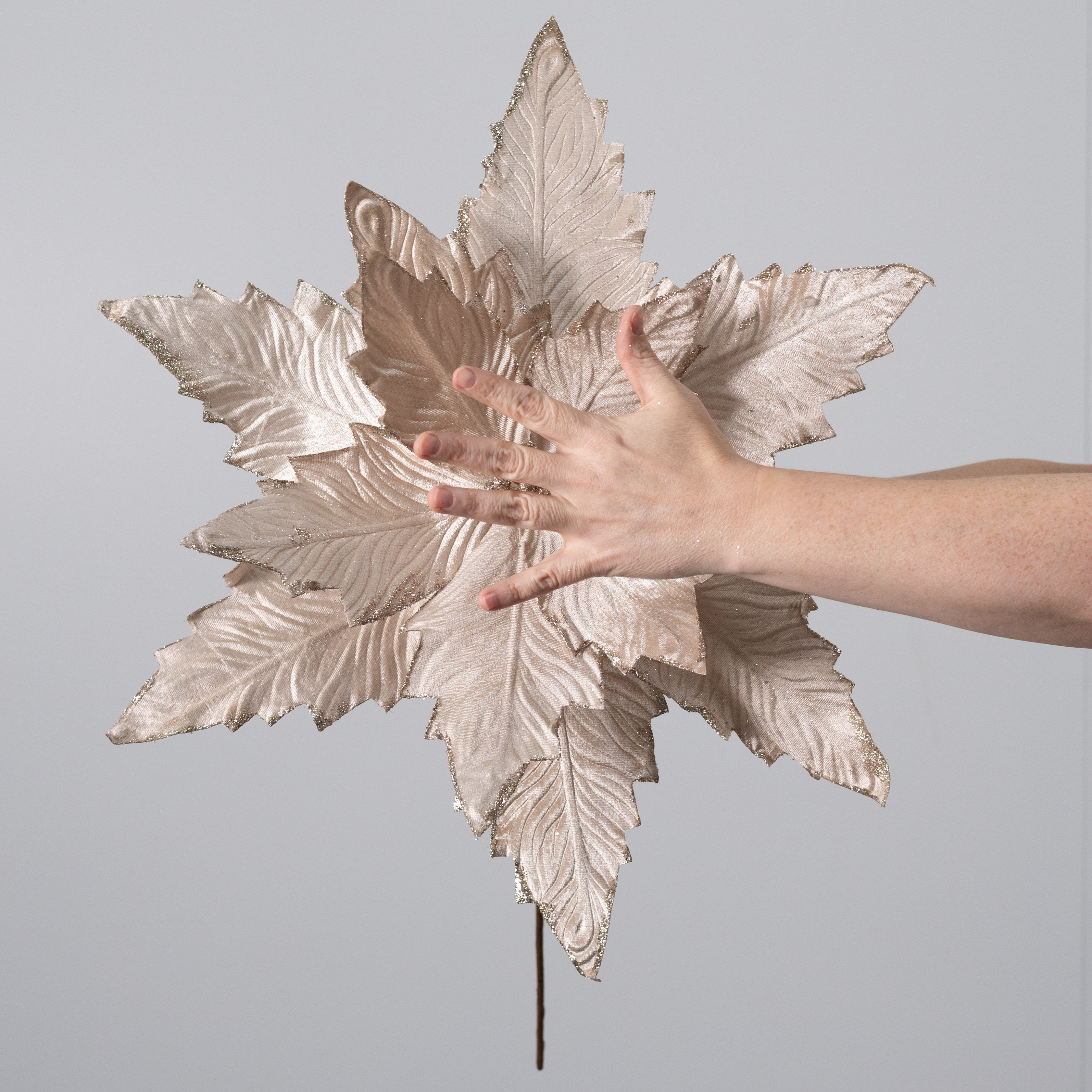 20" x 21" Jumbo Velvet Poinsettia Stem: Champagne Gold Lifestyle Photo