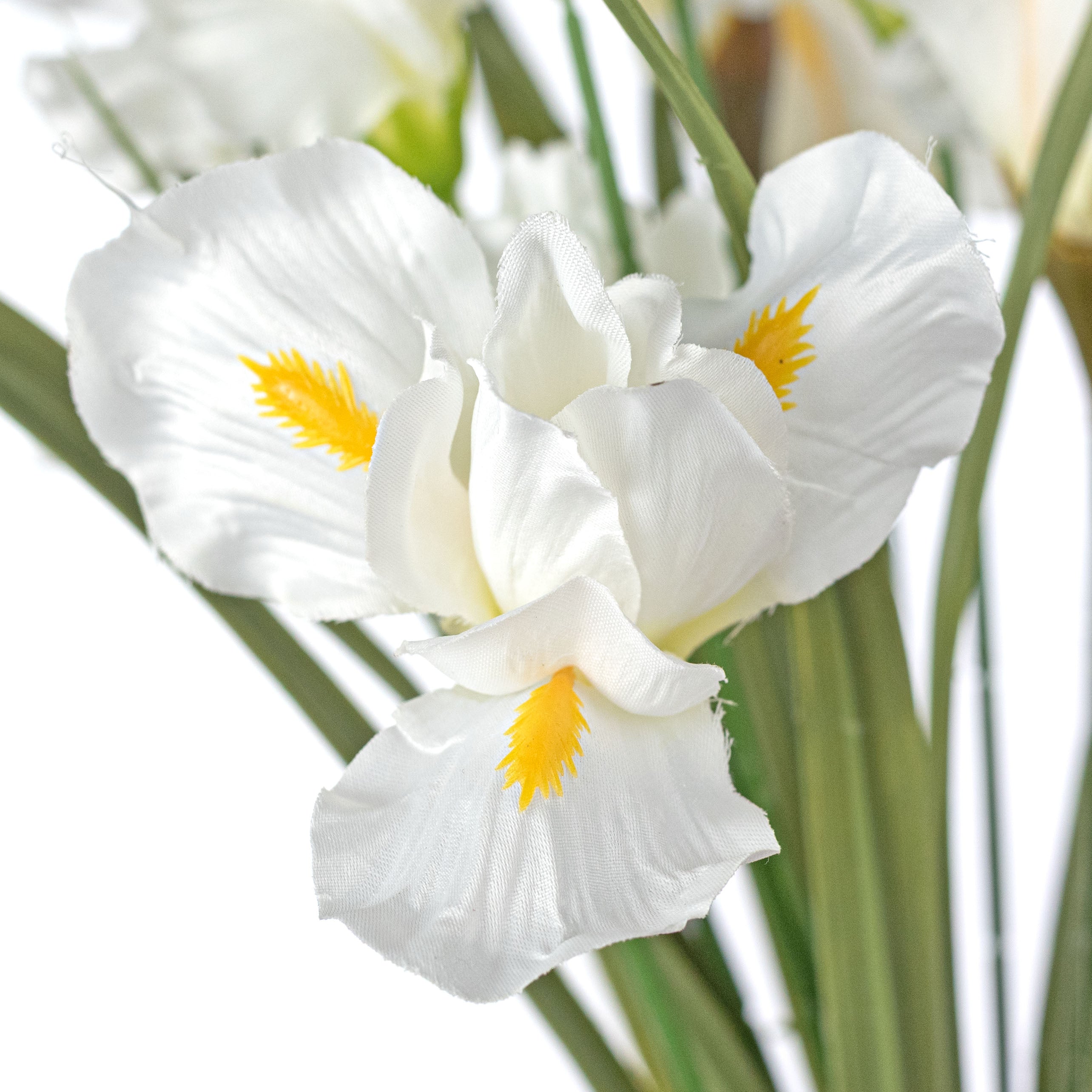 20" Artificial Iris Bush: Cream White (12 Stem) Lifestyle Photo