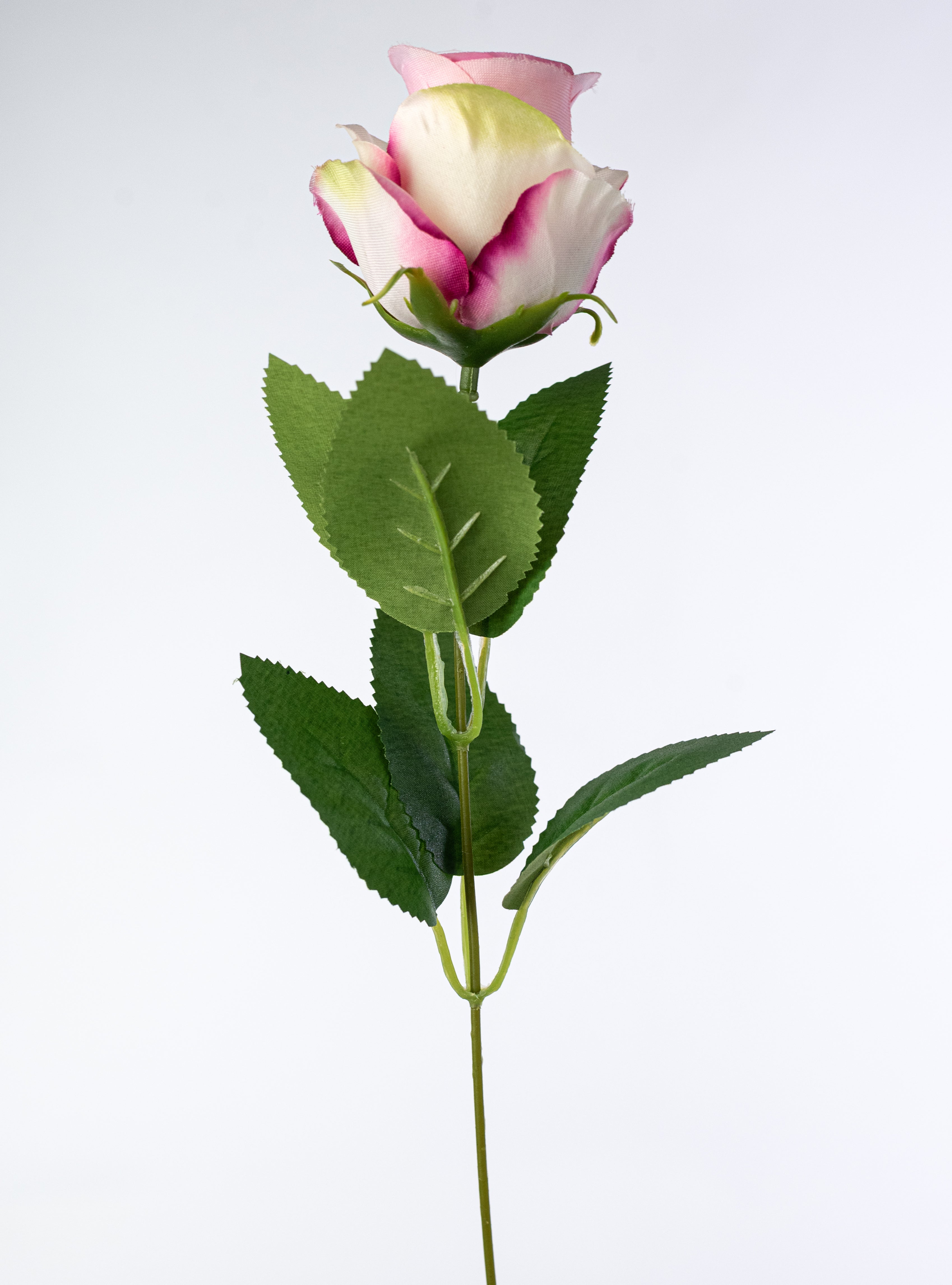 20" Daisy, Rose & Hydrangea Bush: Pink Mix (12 Stem) detail photo 5
