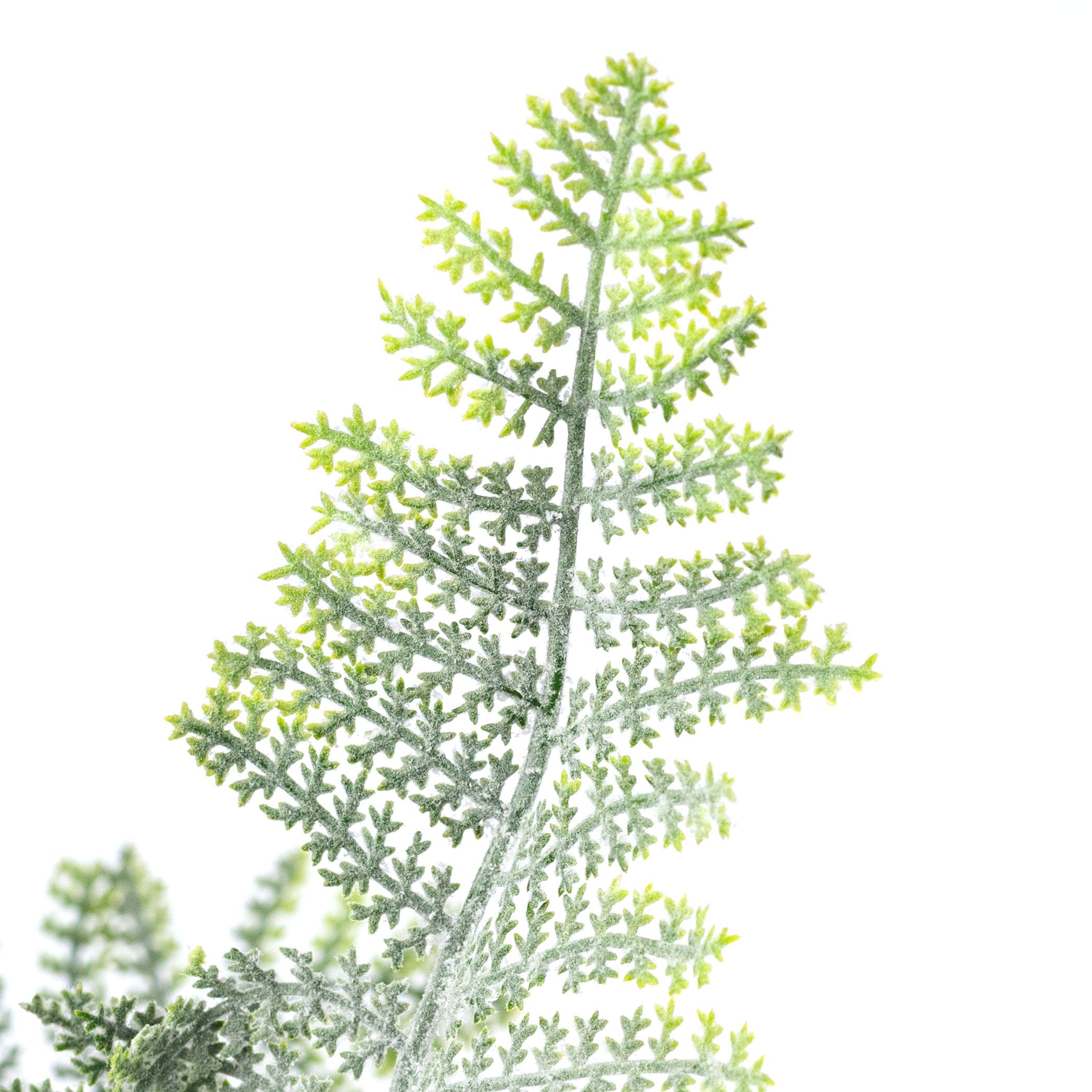 20" Flocked Plastic Fern Bush: Green (7 Stem) Lifestyle Photo