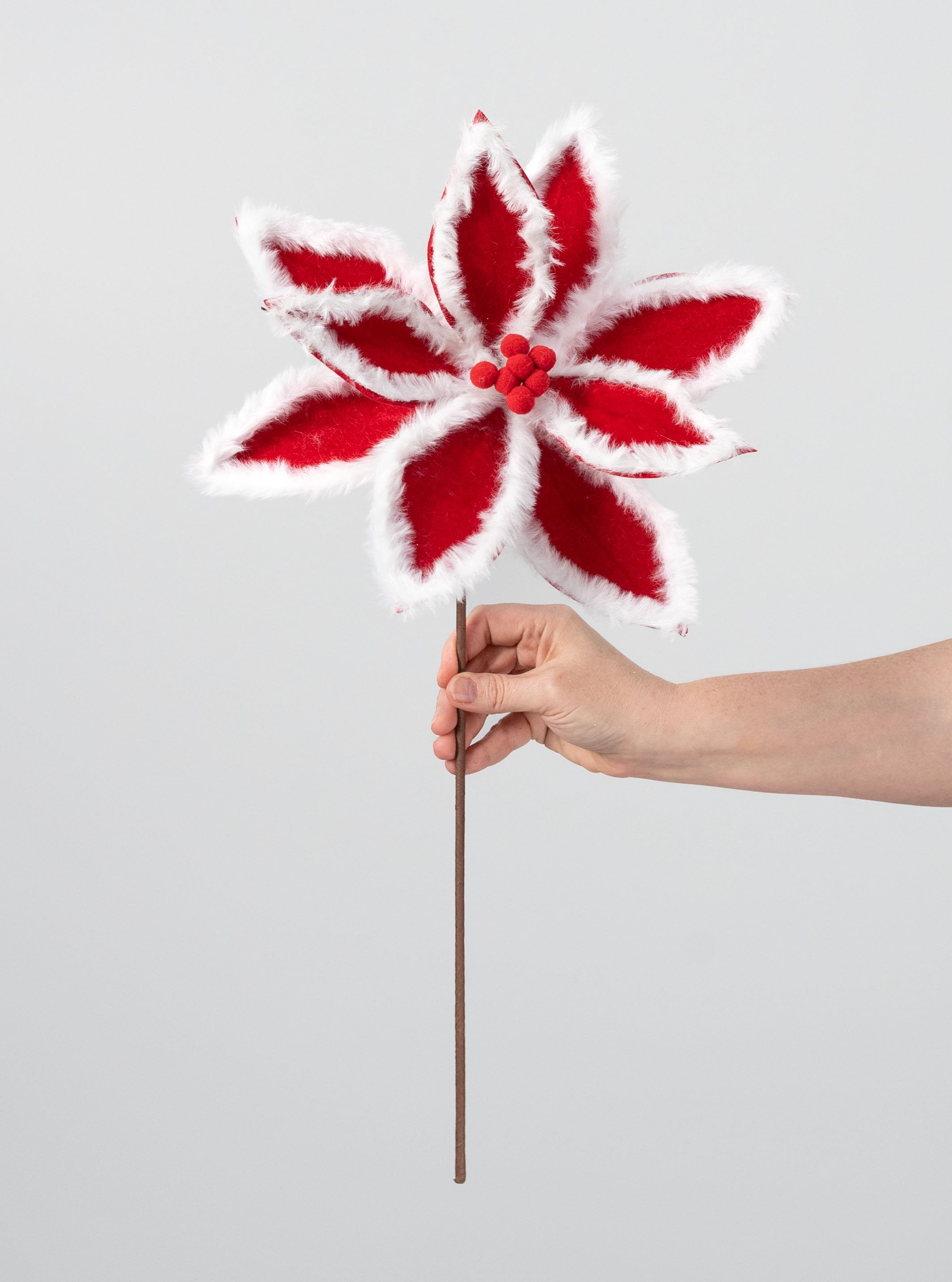 20" Furry Edge Poinsettia Stem: Red & White detail photo 3