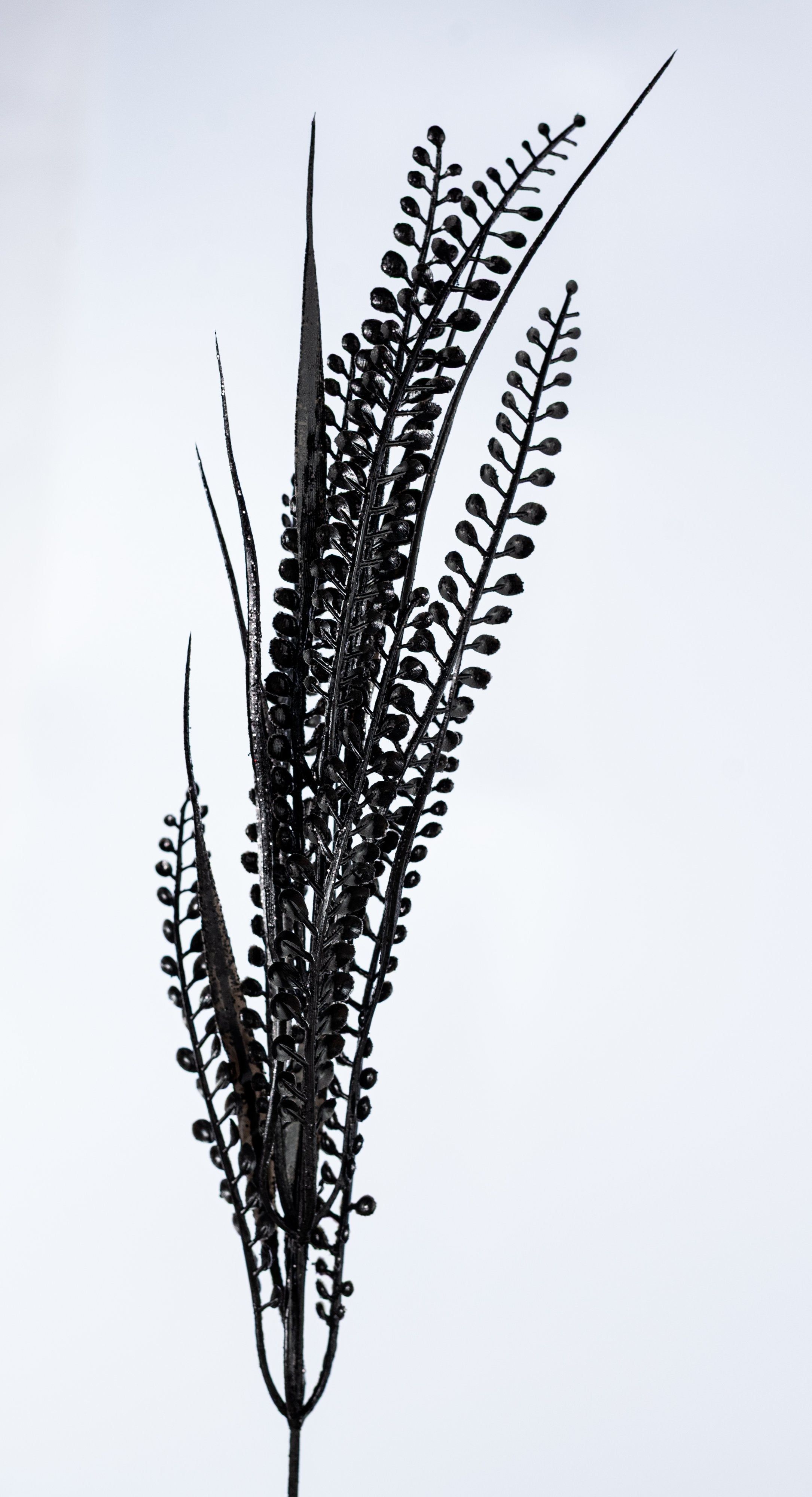 20" Glittered Button Fern Bush: Black detail photo 3
