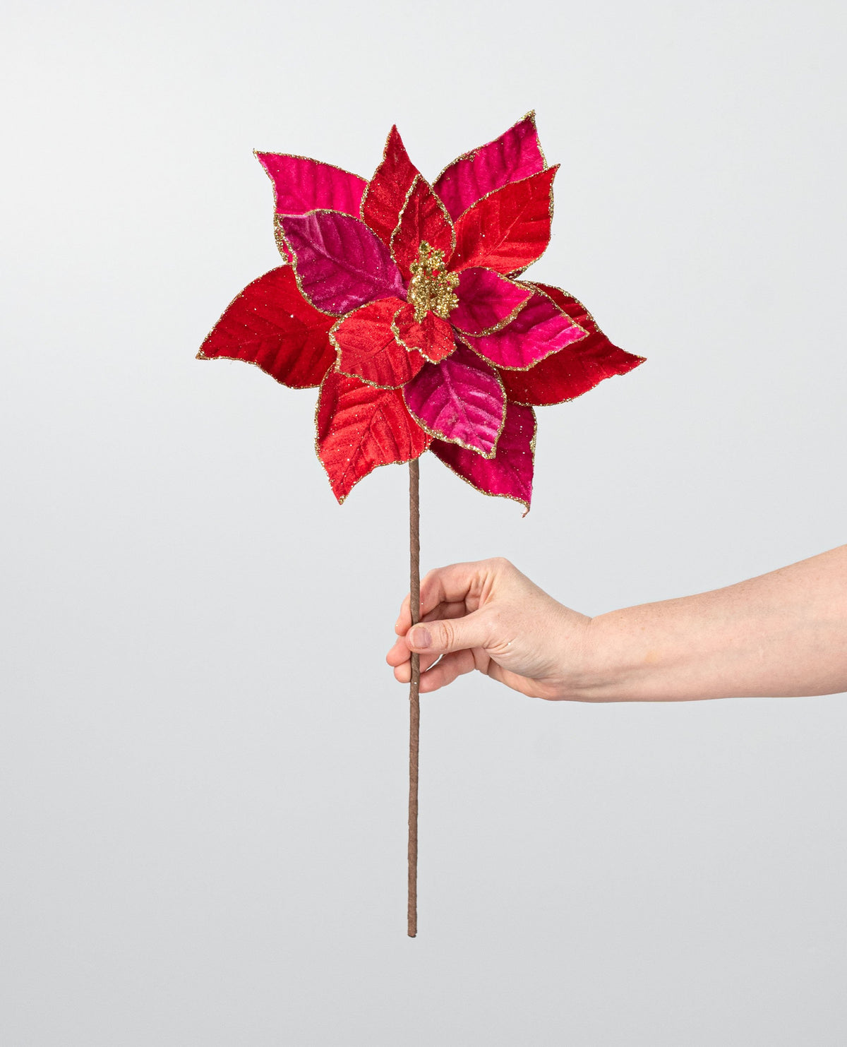 20" Glittered Velvet Poinsettia Stem: Red & Pink detail photo 3