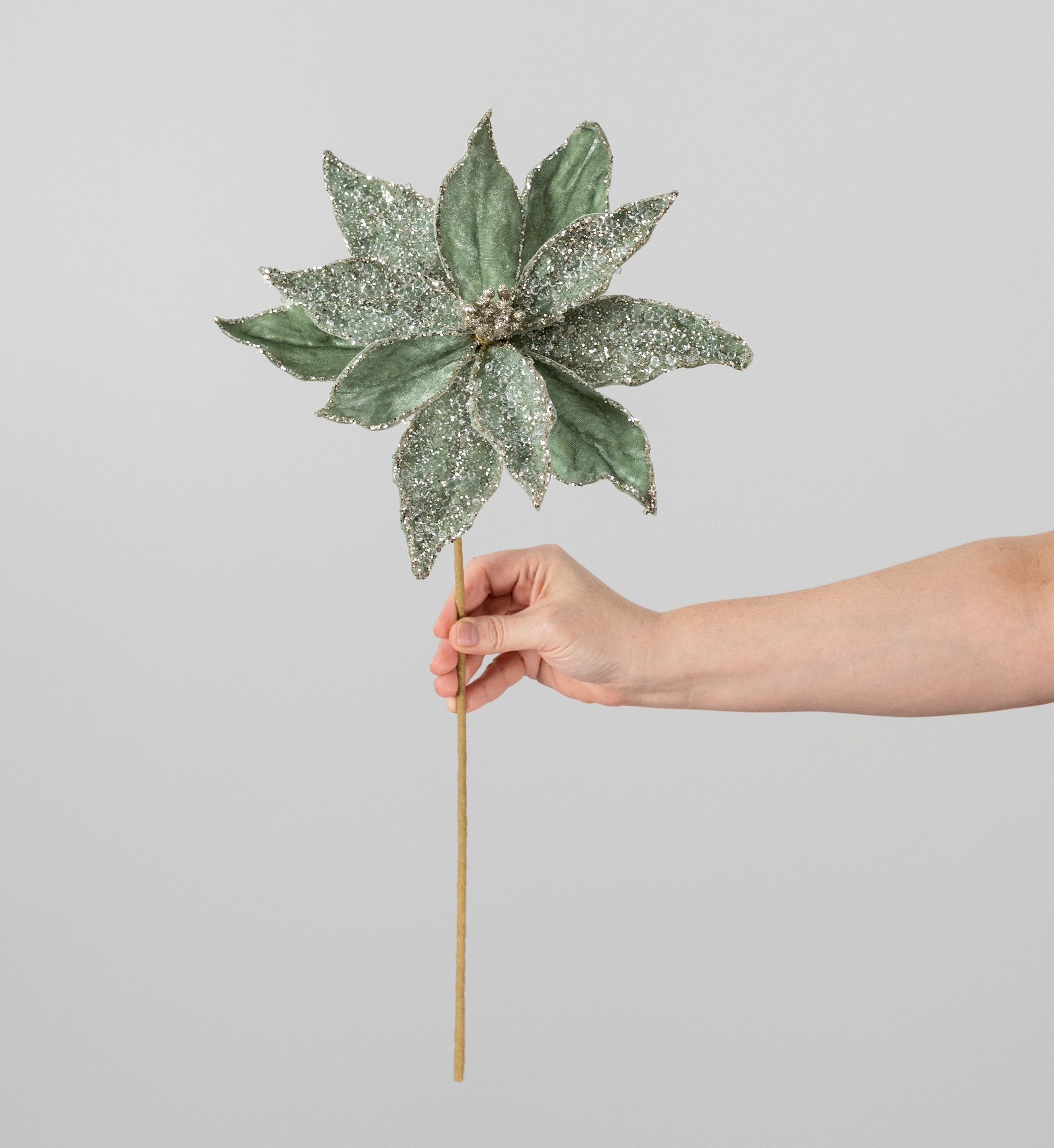 20" Iced Velvet Poinsettia Stem: Sage Green detail photo 3