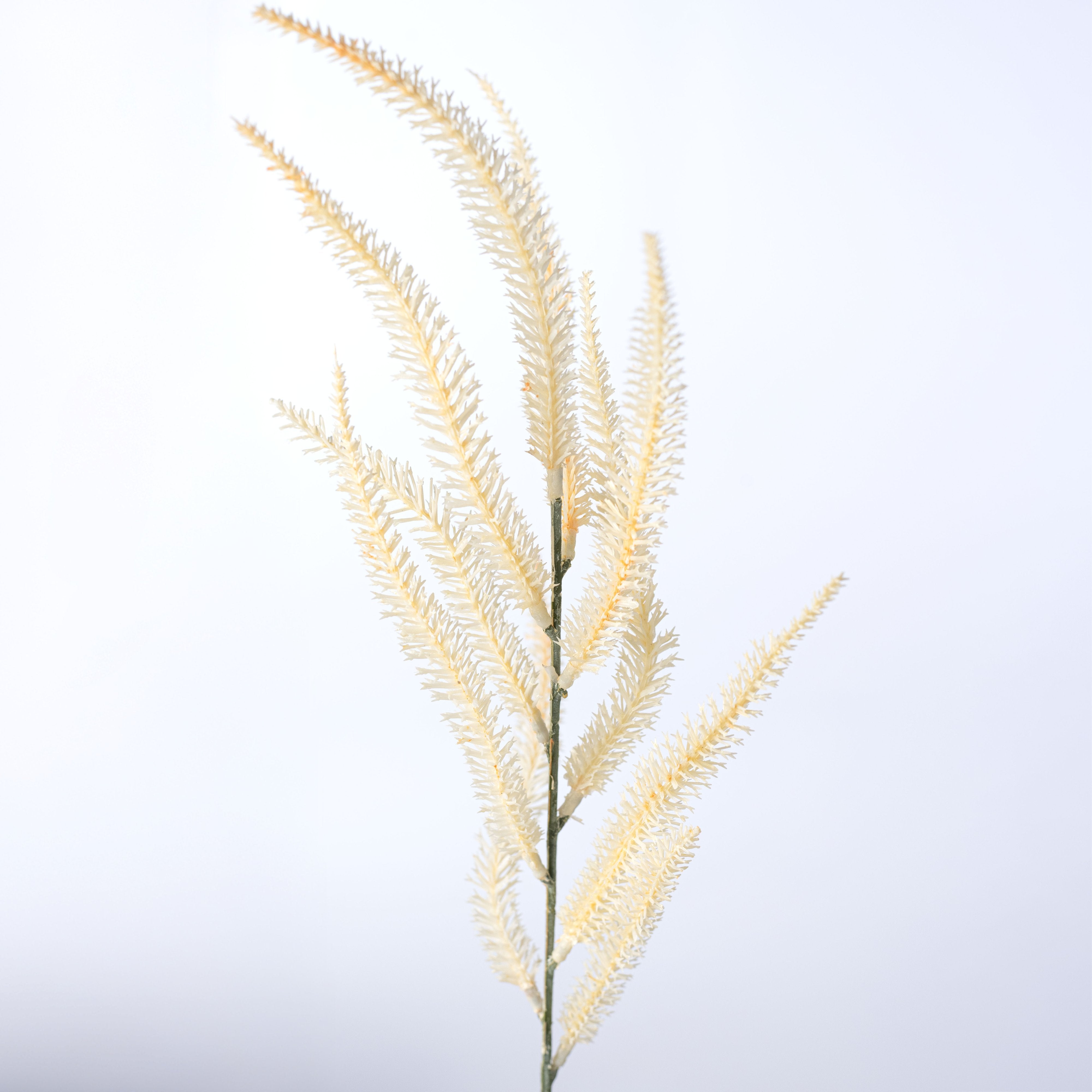 20" Lavender Spike Bush: Beige (7 Stem) detail photo 4
