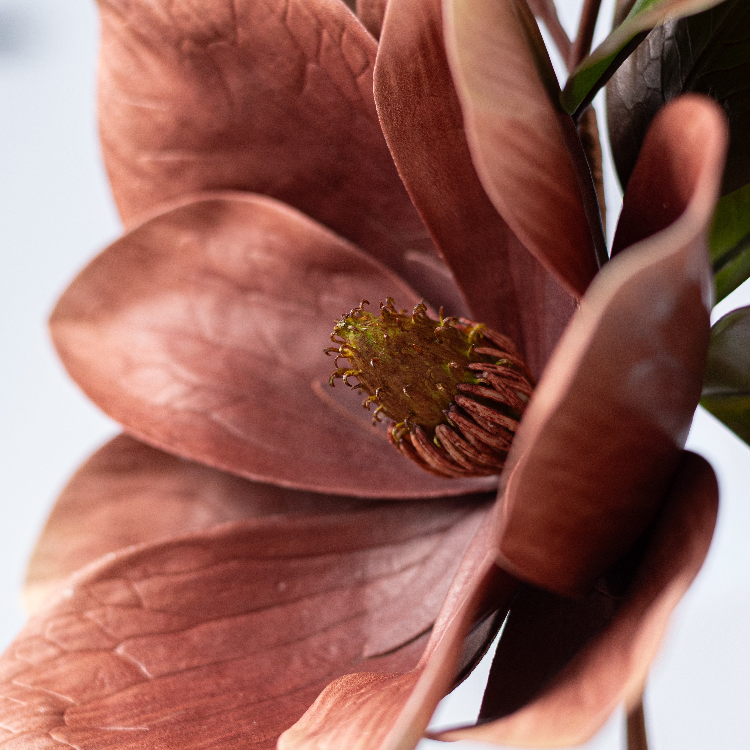 20" Magnolia Flower Spray: Brown, Cream & Green Lifestyle Photo