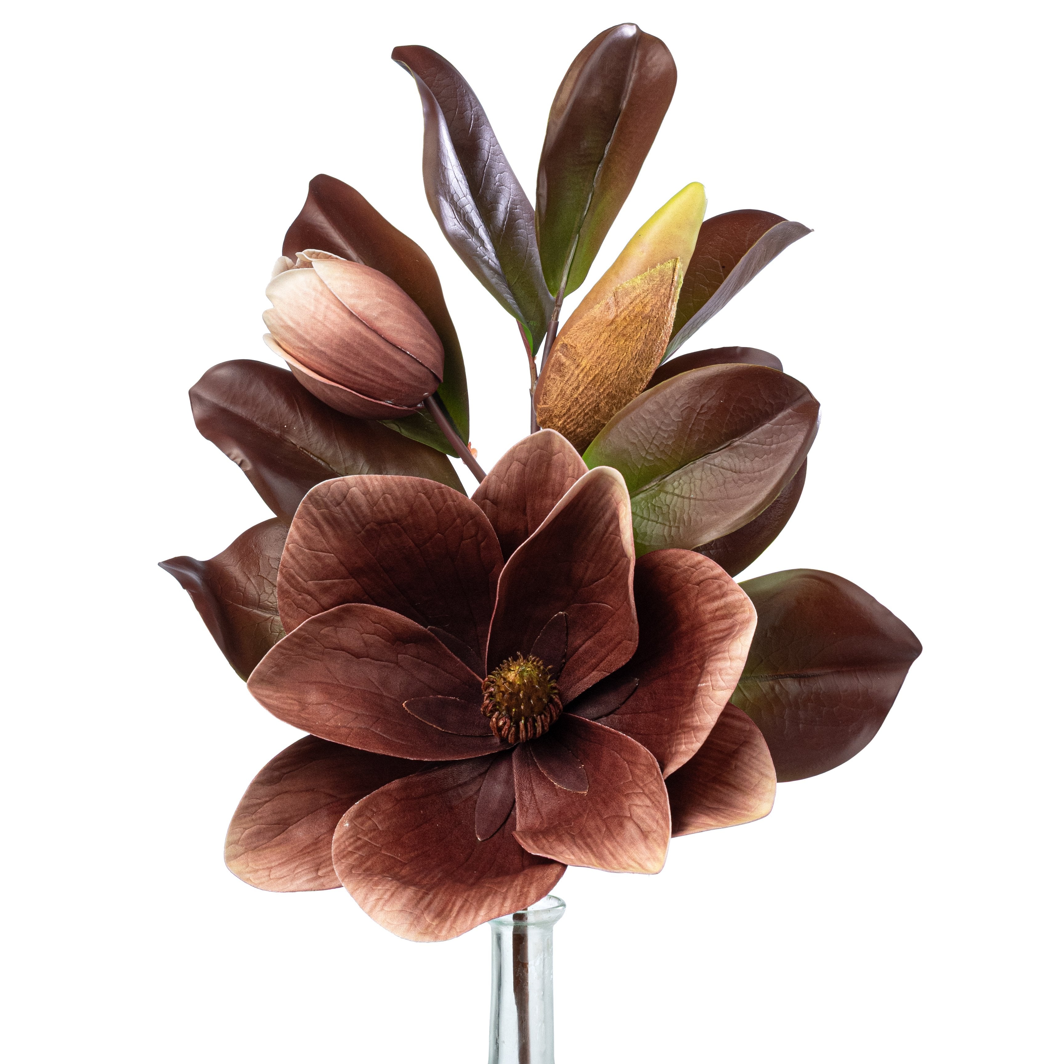 20" Magnolia Flower Spray: Brown, Cream & Green Item Number: 2823041BG