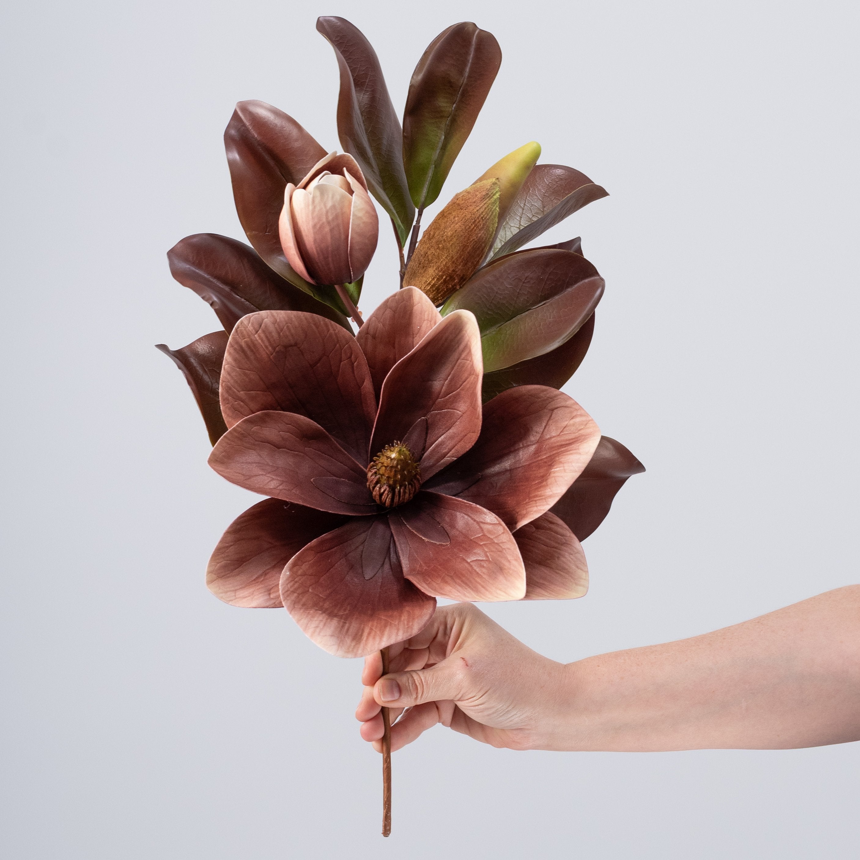 20" Magnolia Flower Spray: Brown, Cream & Green detail photo 3