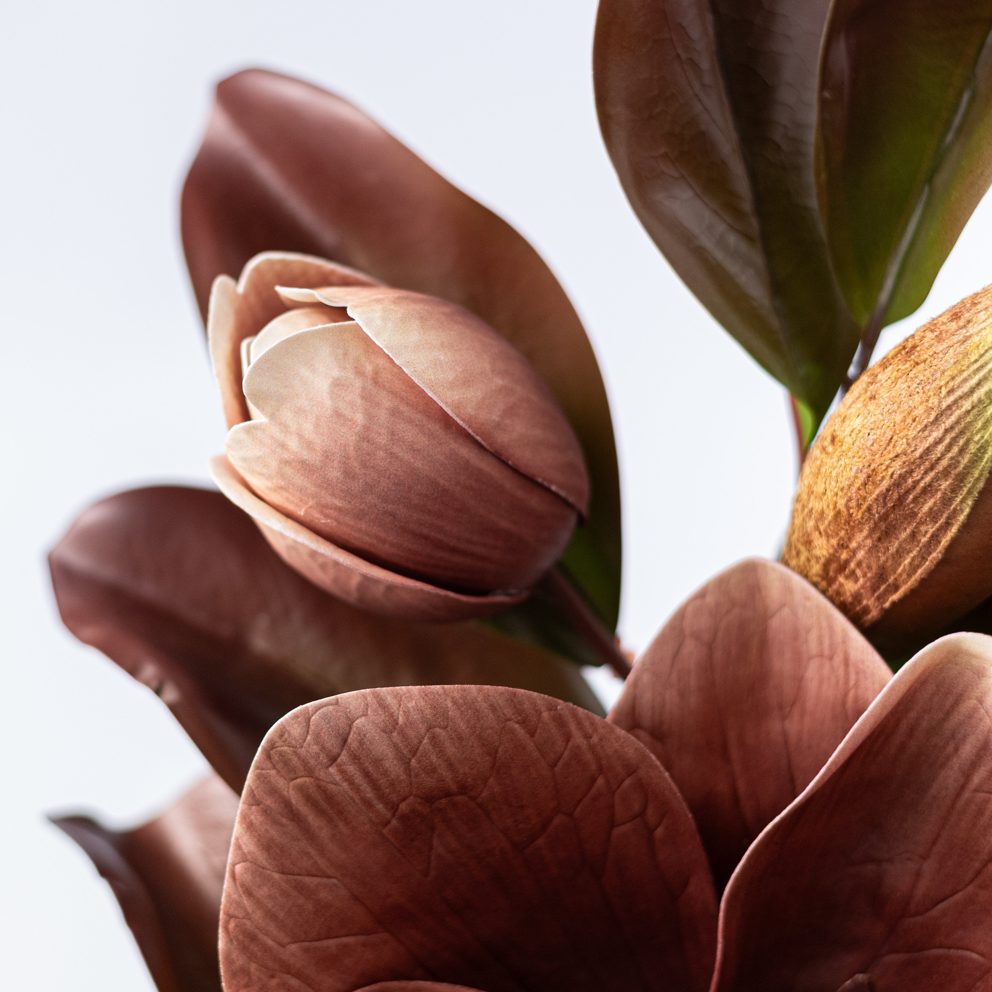 20" Magnolia Flower Spray: Brown, Cream & Green detail photo 4