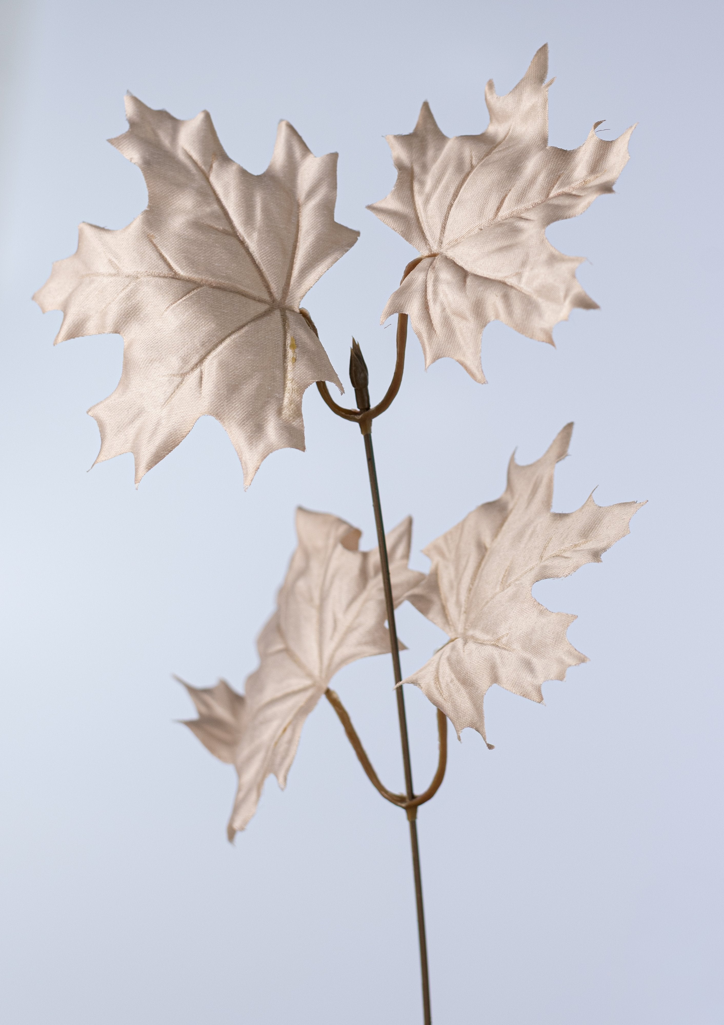 20" Maple Leaf Bush: Taupe (12 Stem) detail photo 4