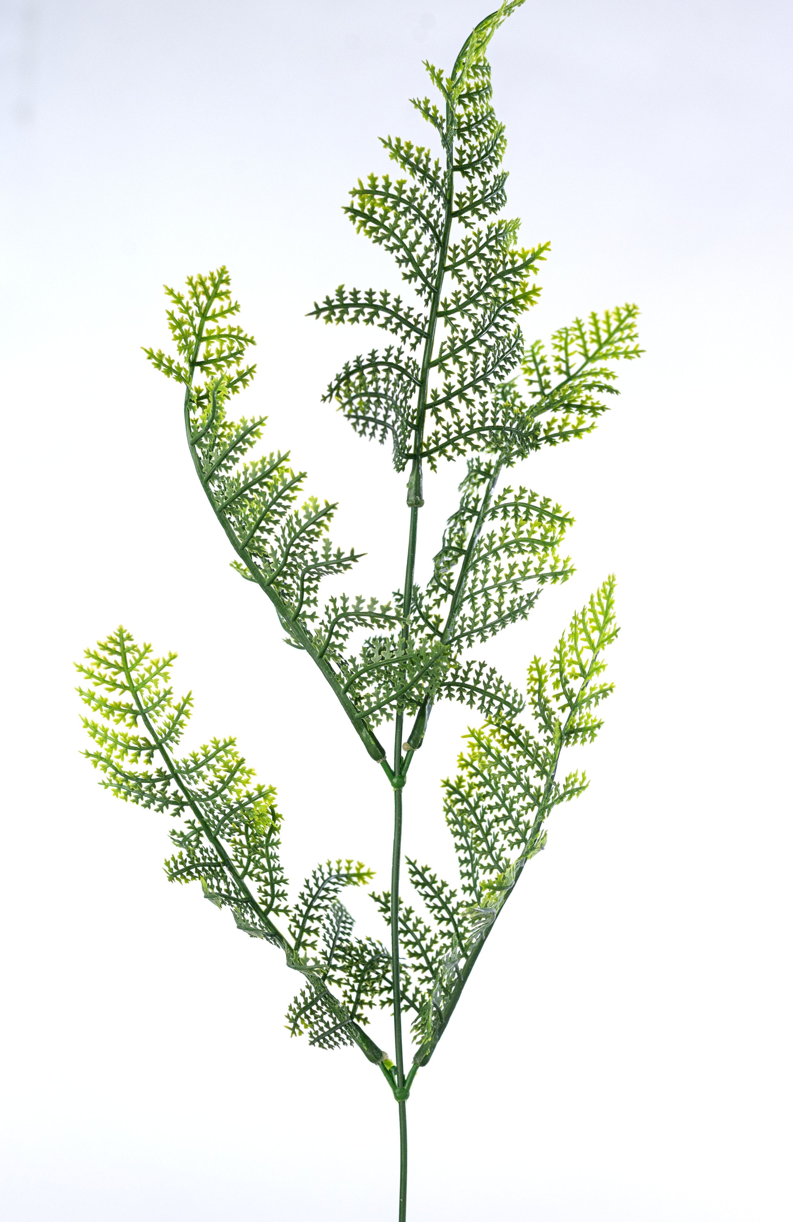 20" Plastic Fern Bush: Green (7 Stem) detail photo 4