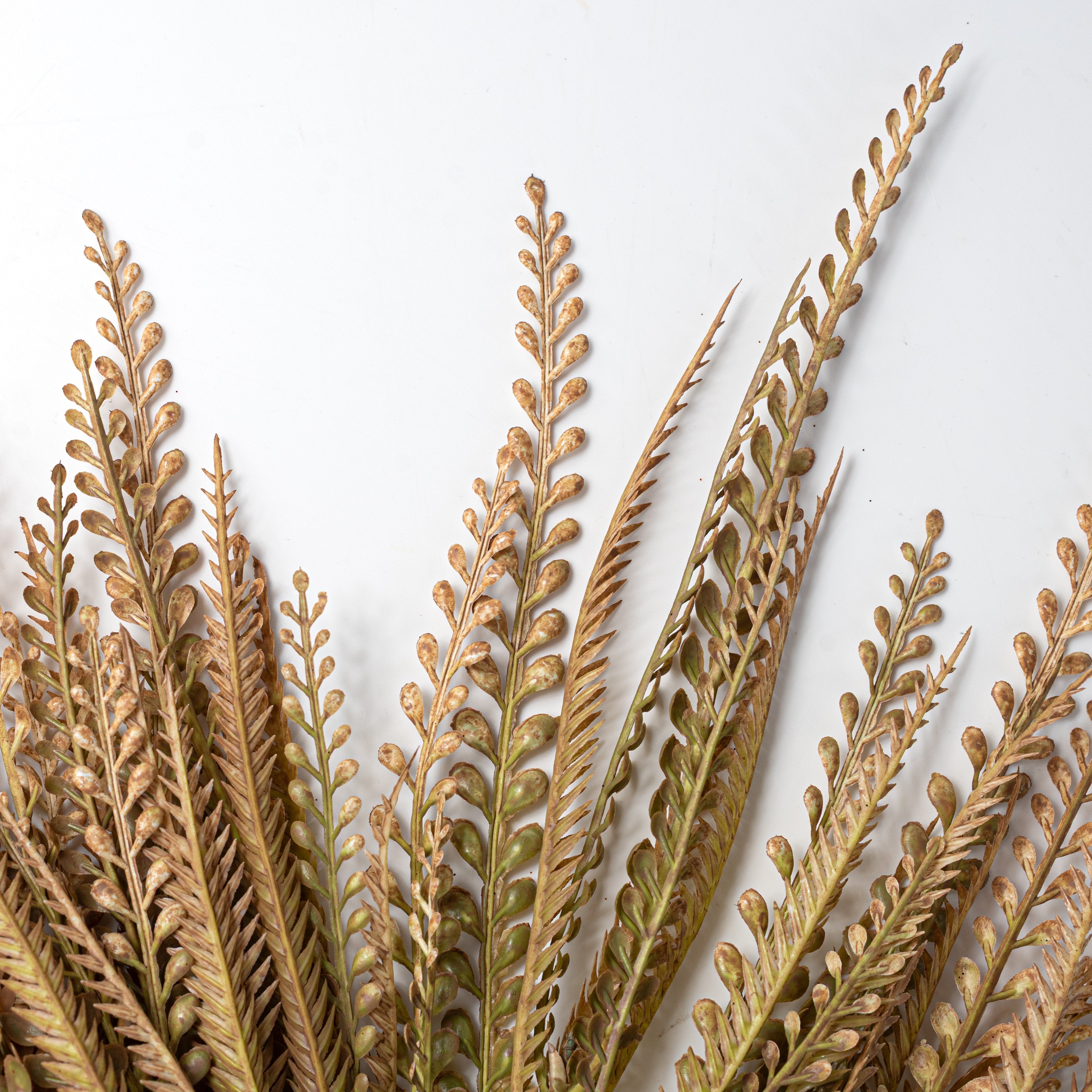 20" Plastic Leaf Button Fern Bush: Beige & Brown (7 Stem) Lifestyle Photo