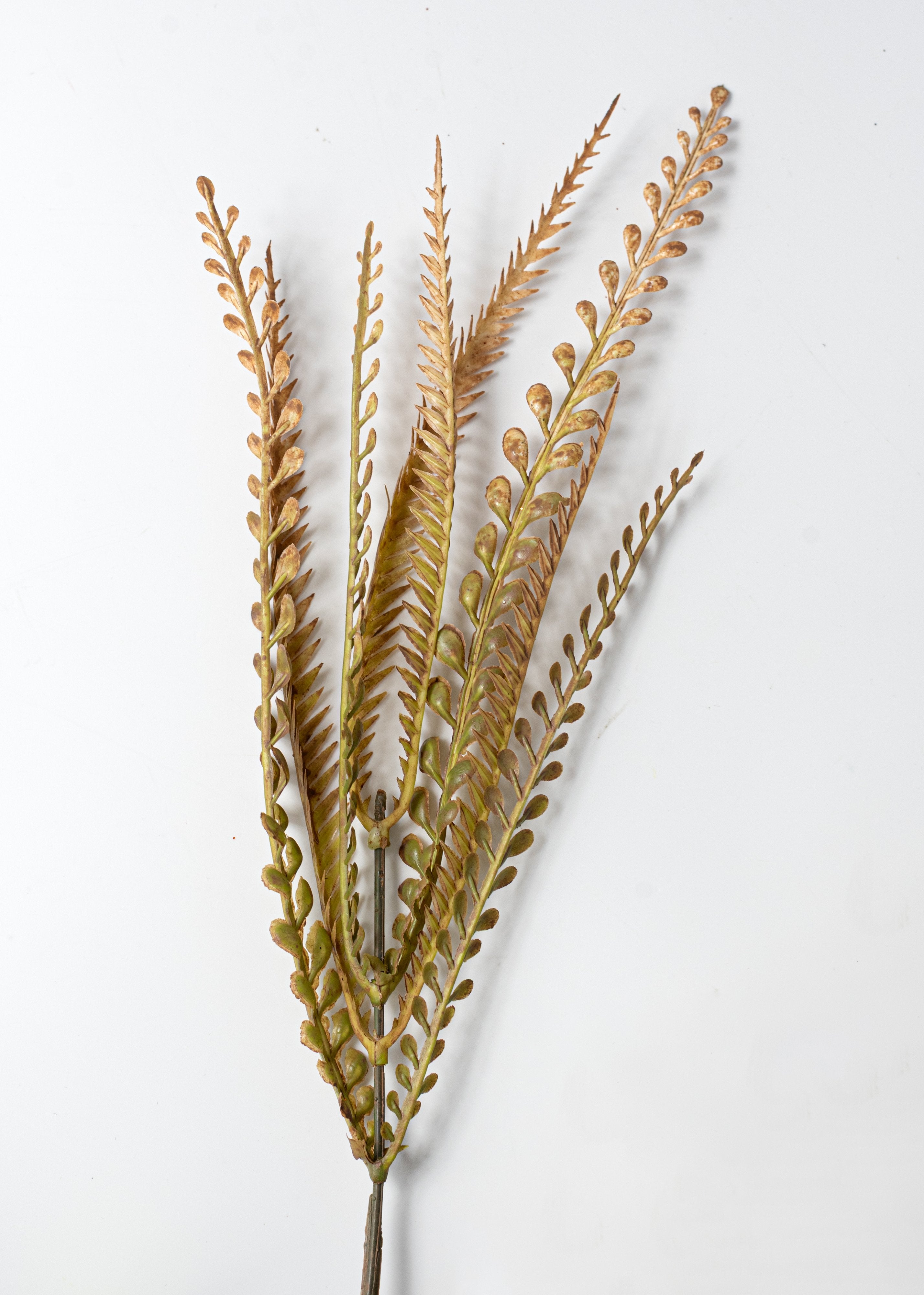 20" Plastic Leaf Button Fern Bush: Beige & Brown (7 Stem) detail photo 4