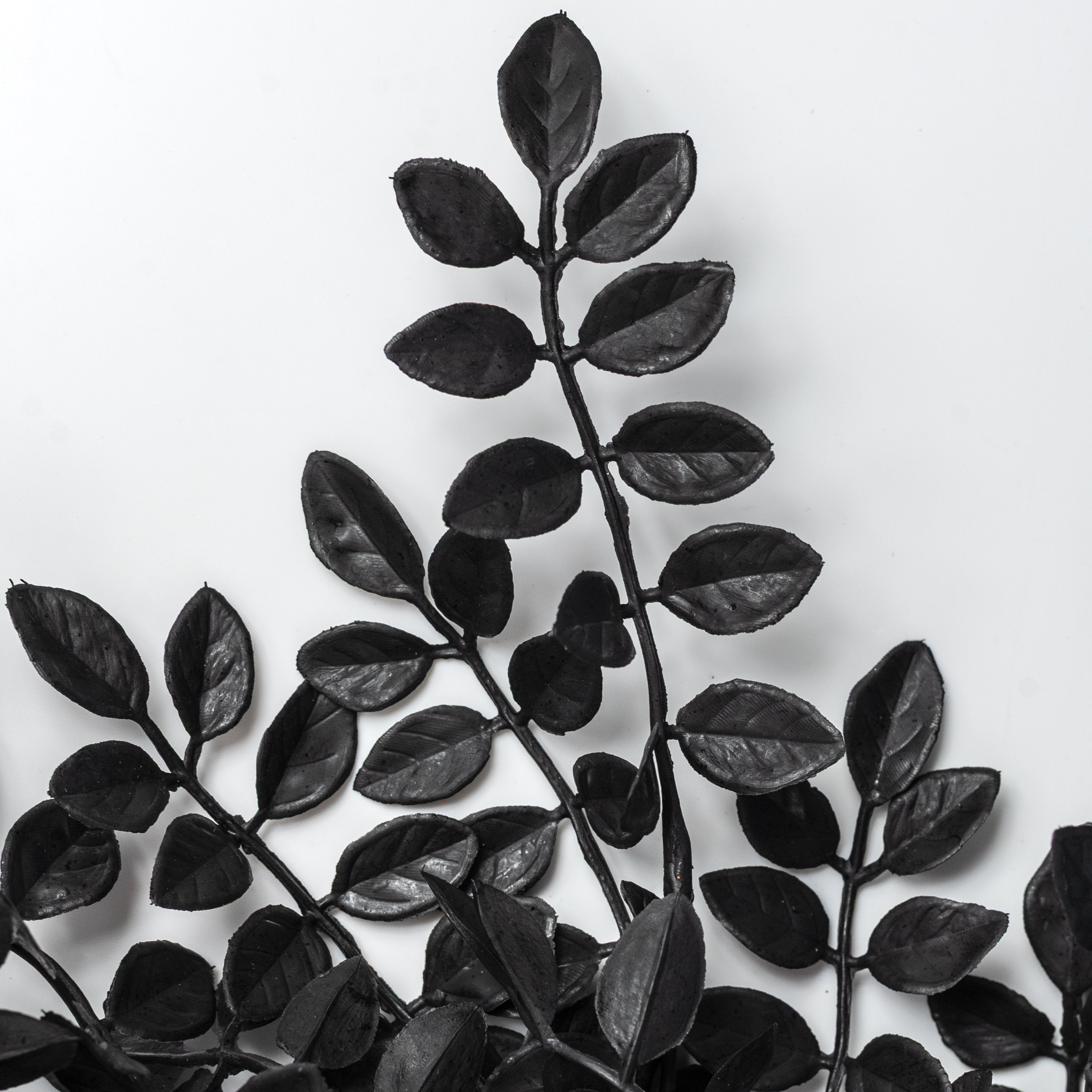 20" Plastic Wisteria Leaves Bush: Black (7 Stem) Lifestyle Photo