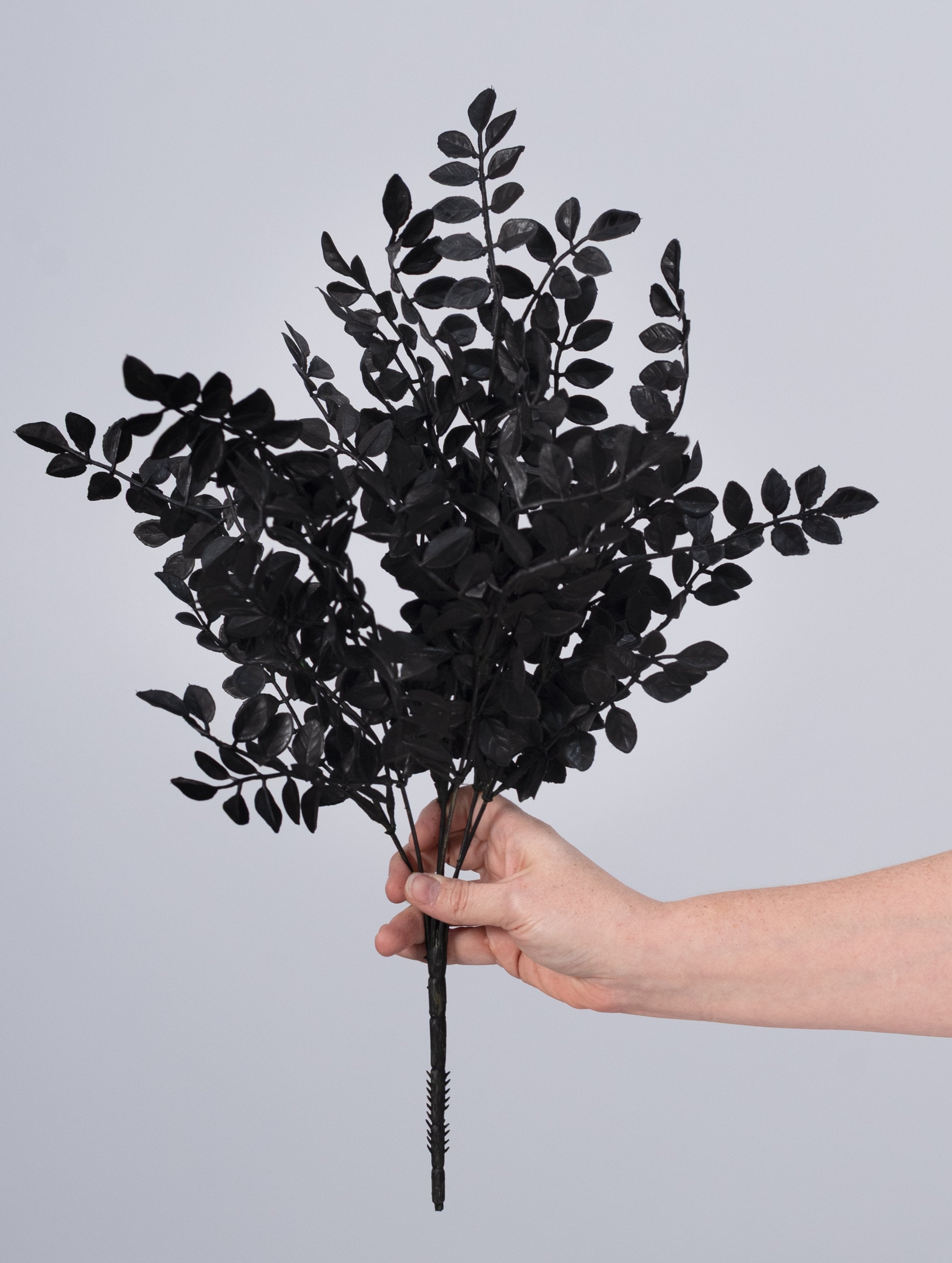 20" Plastic Wisteria Leaves Bush: Black (7 Stem) detail photo 3