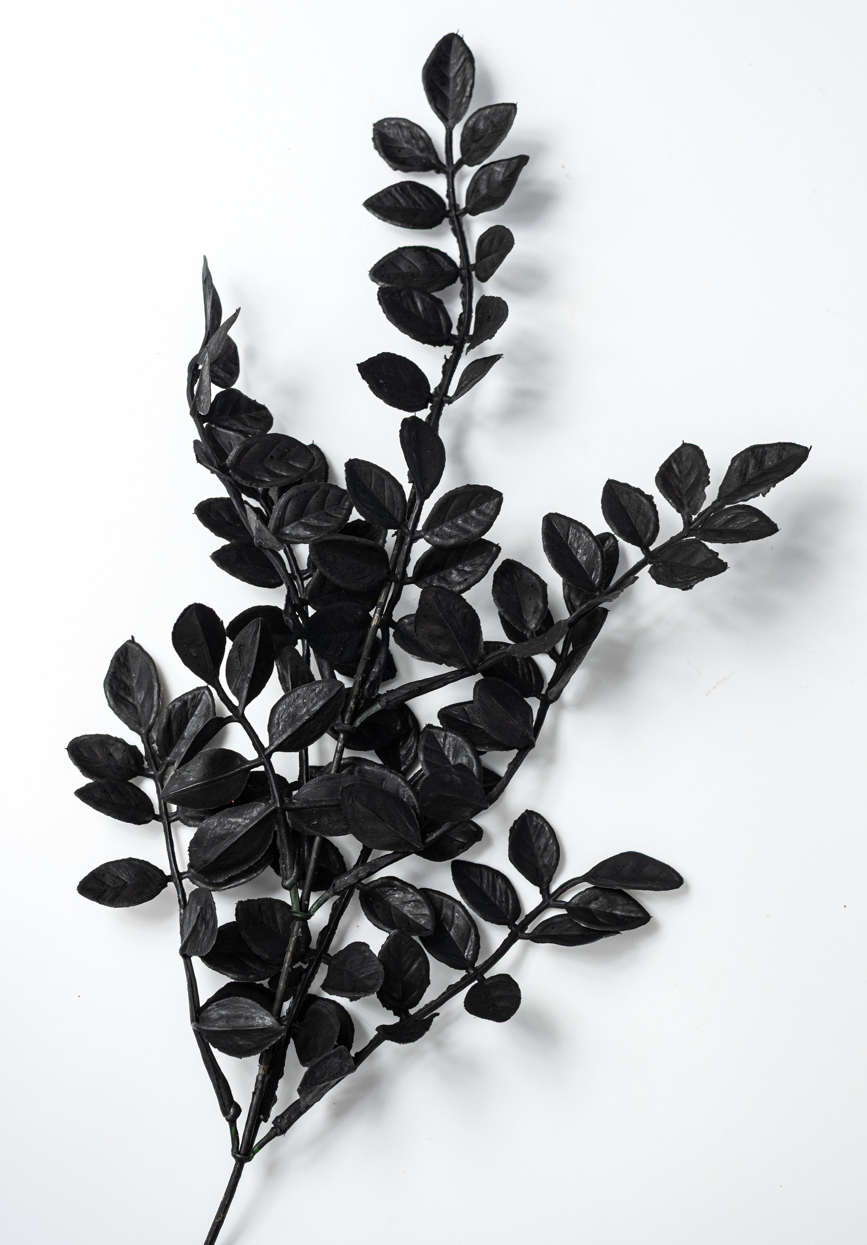 20" Plastic Wisteria Leaves Bush: Black (7 Stem) detail photo 4