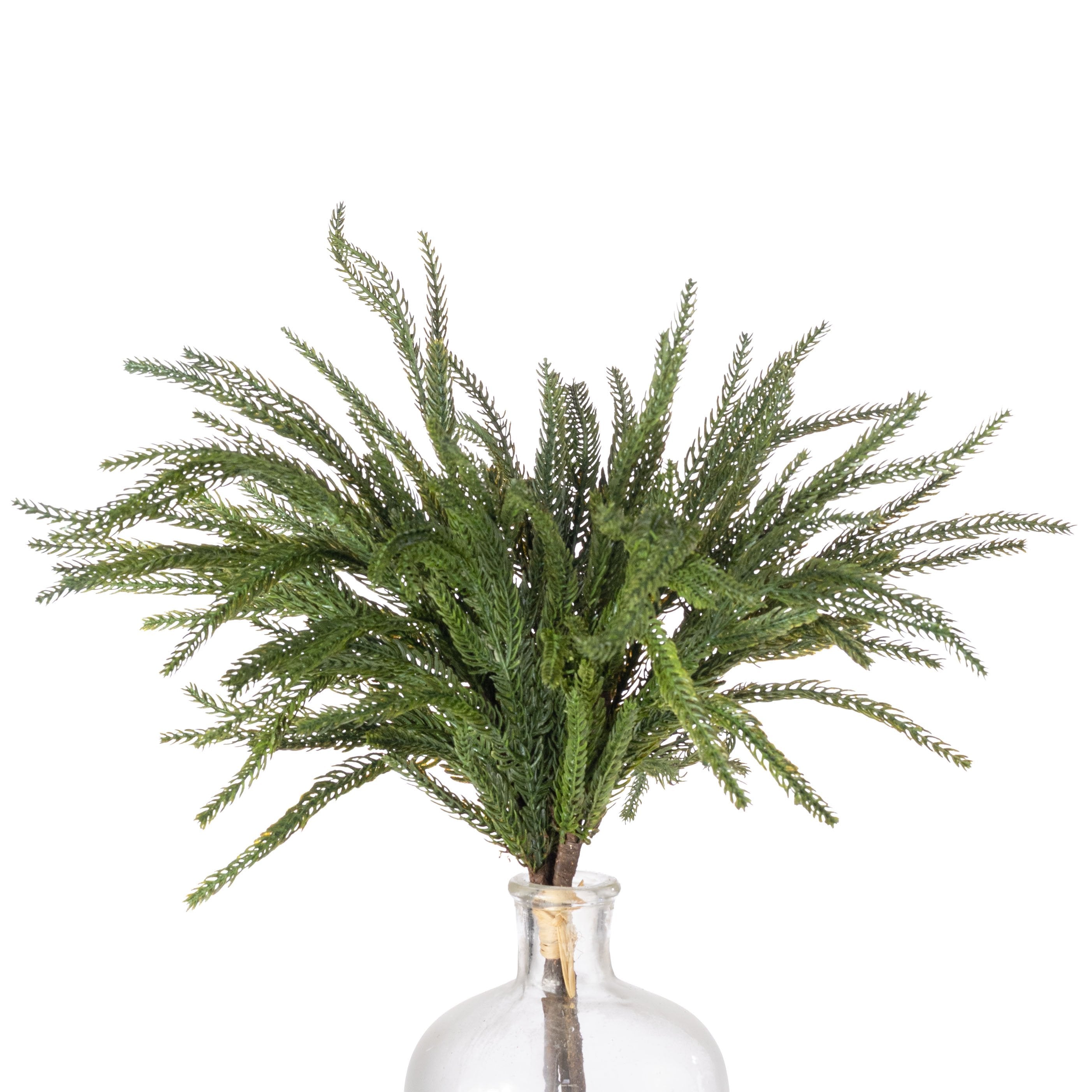 20" Soft Touch Norfolk Pine Spray Bundle: Dark Green (3) Item Number: 2825275GR