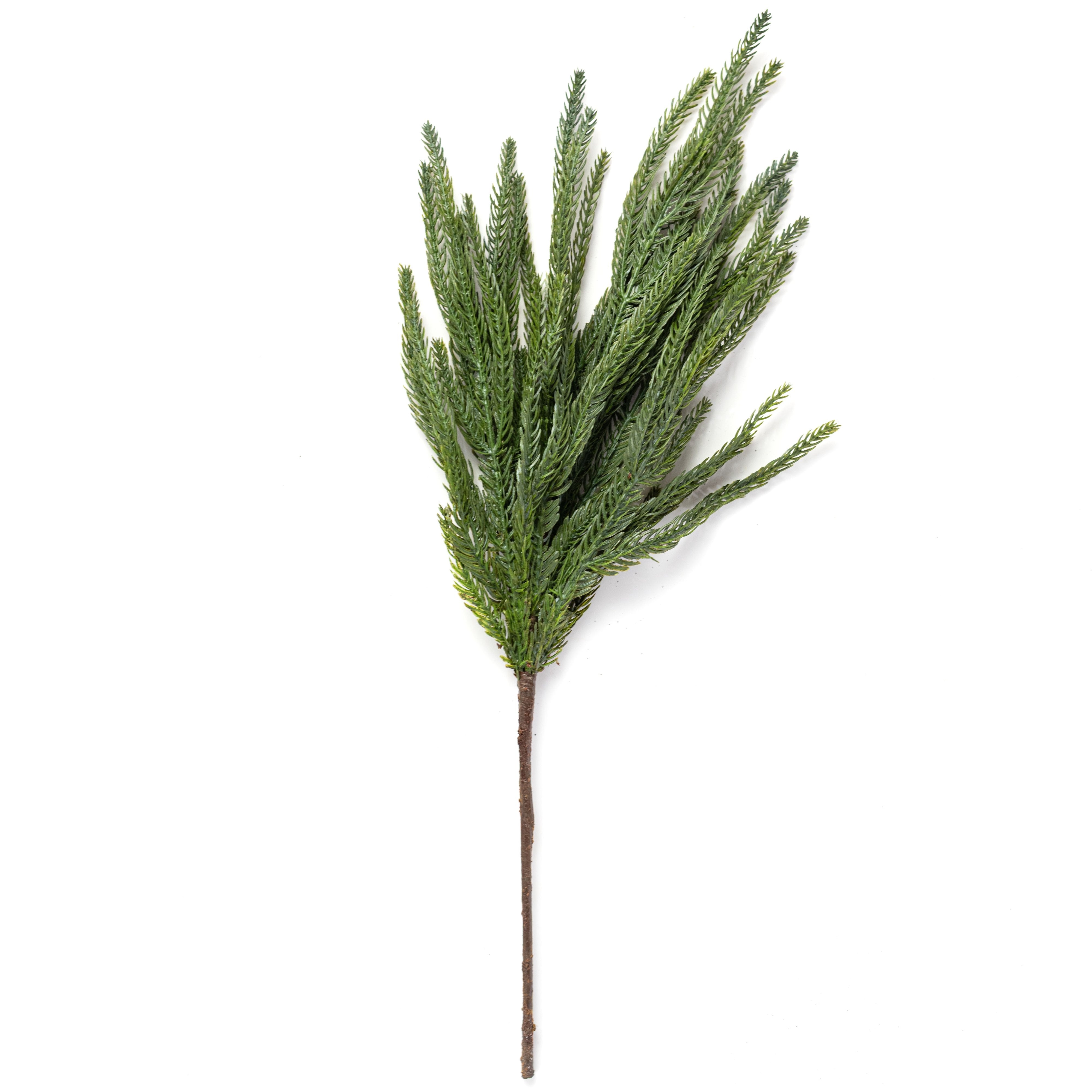 20" Soft Touch Norfolk Pine Spray Bundle: Dark Green (3) detail photo 4