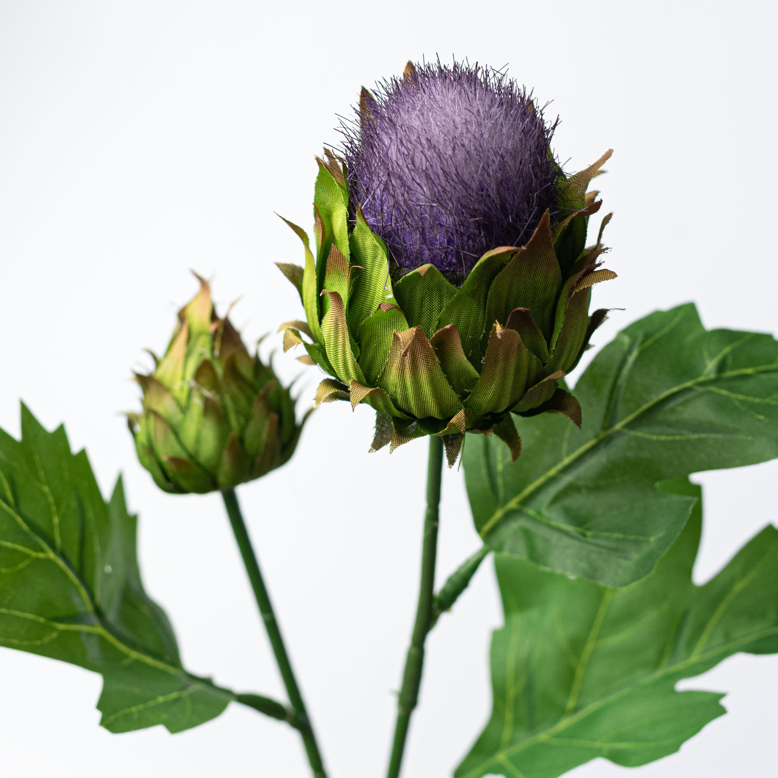 20" Thistle Stem: Purple Lifestyle Photo