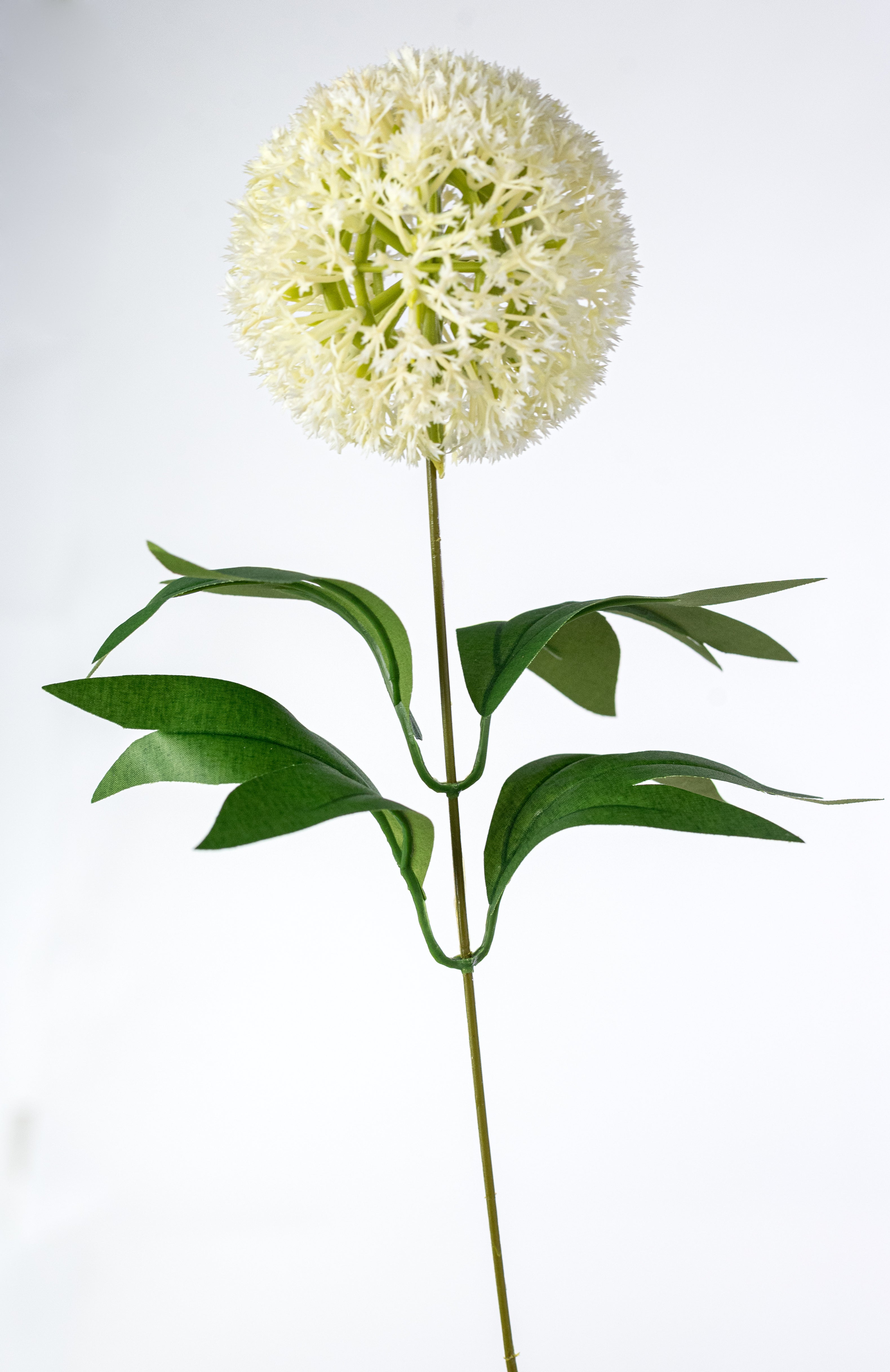 21" Ball Hydrangea & Fern Bush: Cream (12 Stem) detail photo 5