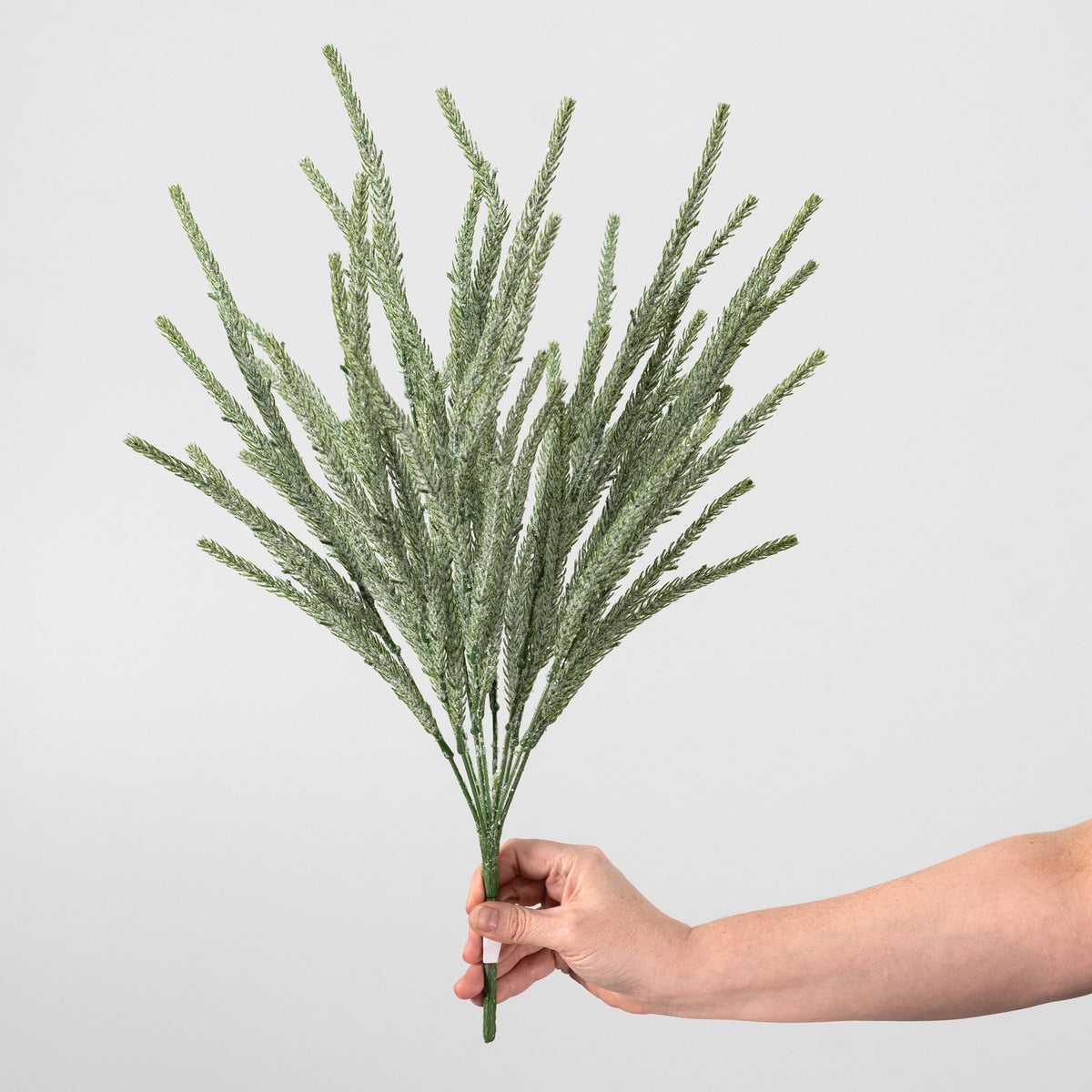 21" Flocked Soft Touch Pine Bush detail photo 3