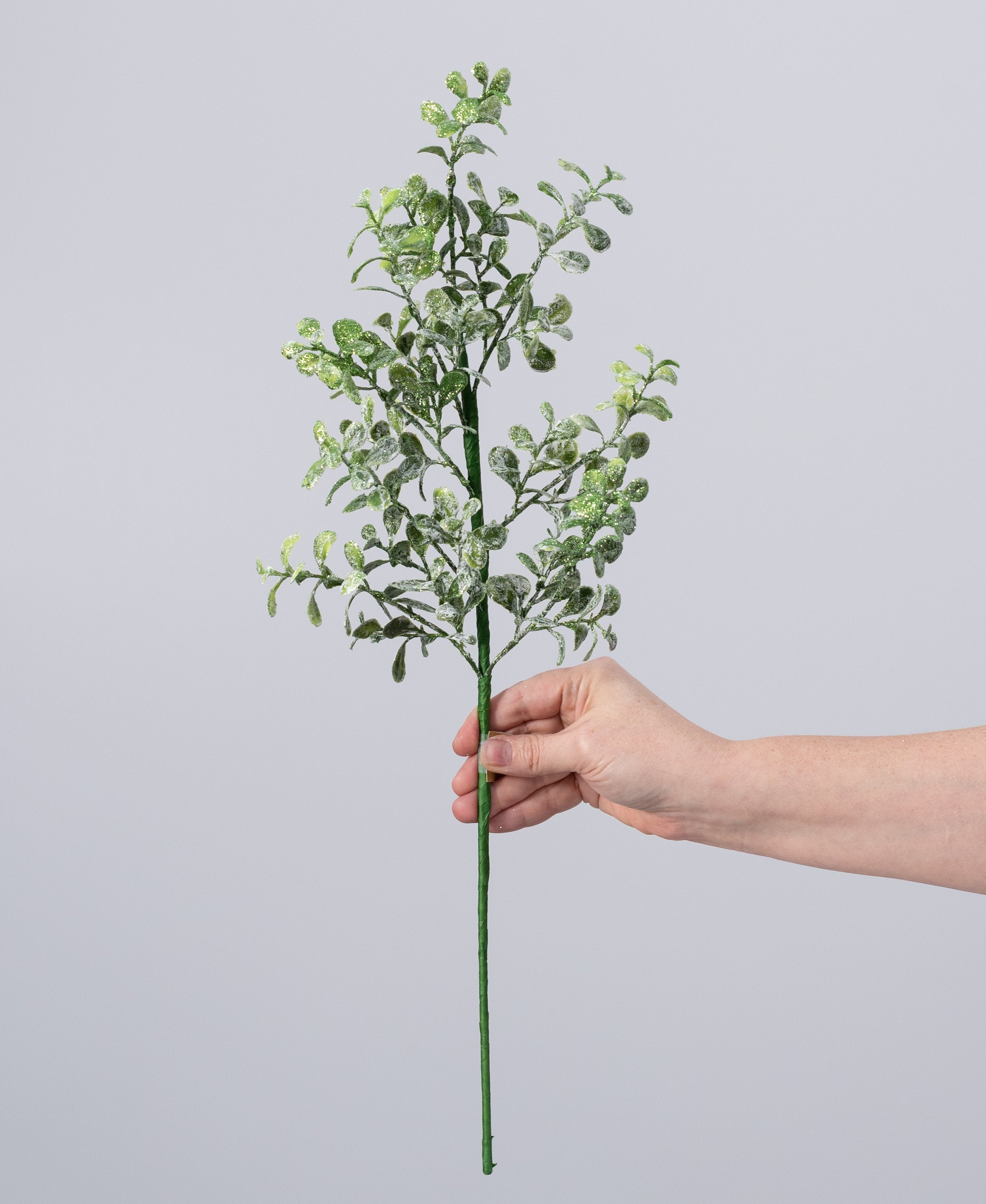 21" Frosted Boxwood Spray: Green detail photo 3