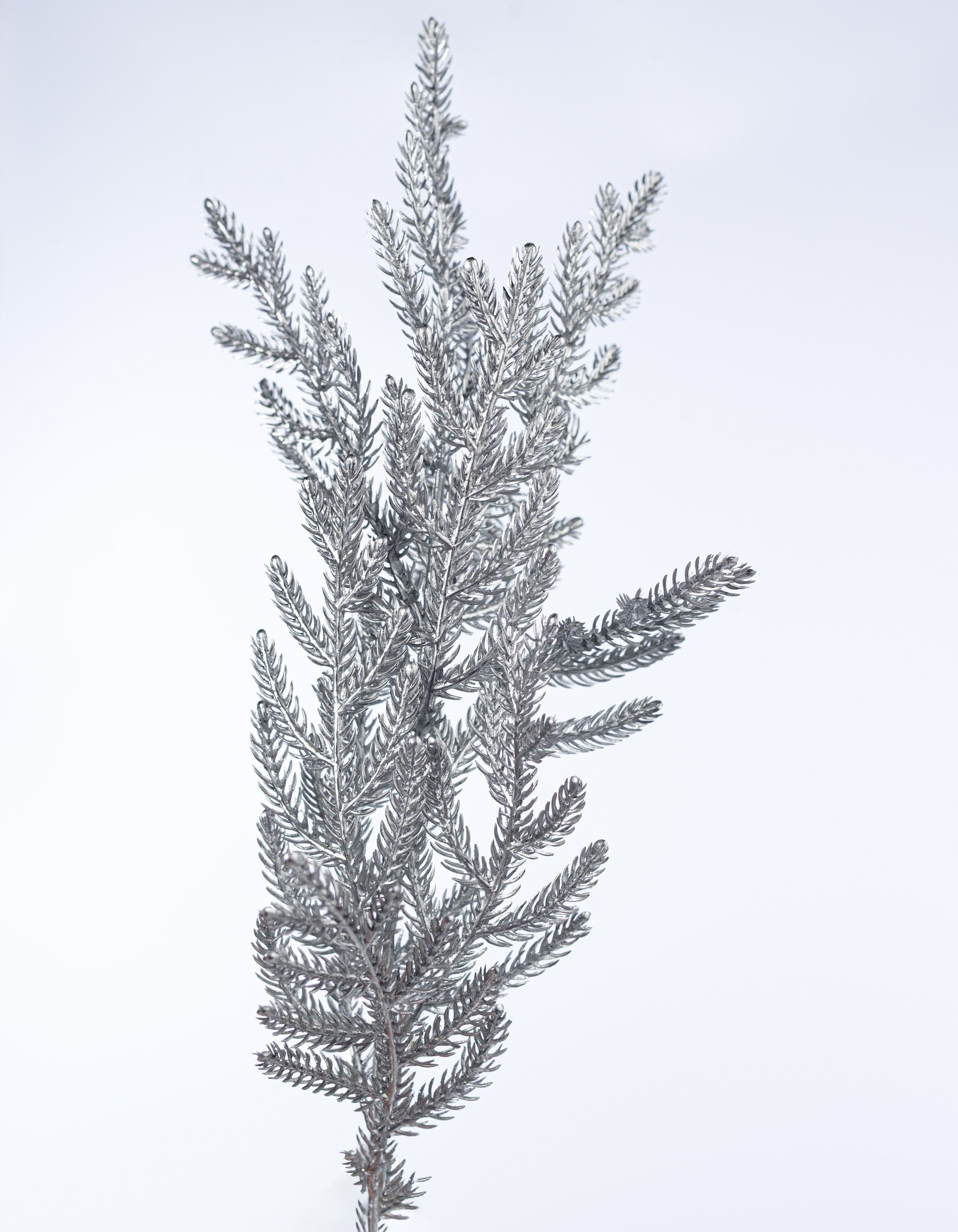 21" Glittered Pine Bush: Metallic Silver (4 Stem) detail photo 4
