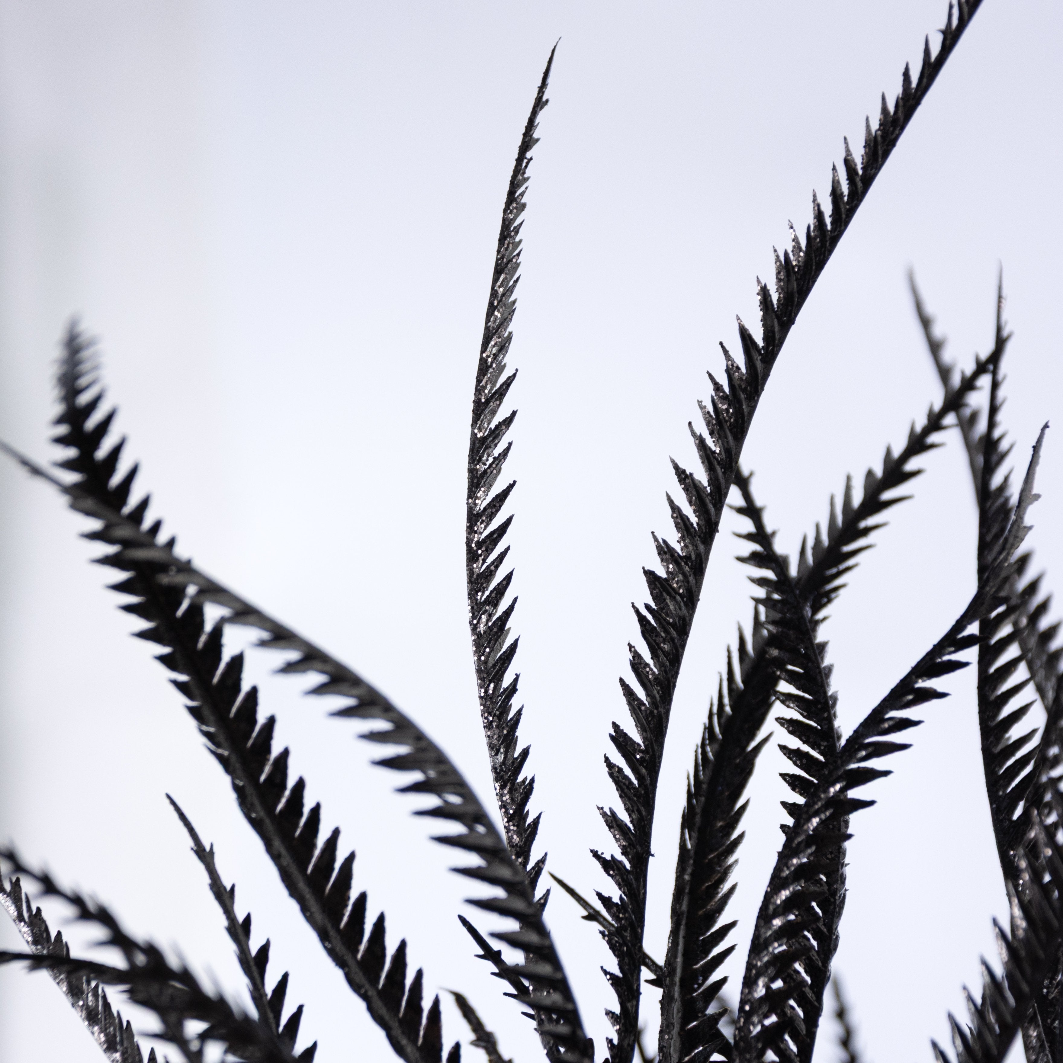 21" Glittered Sword Fern Bush: Black Lifestyle Photo