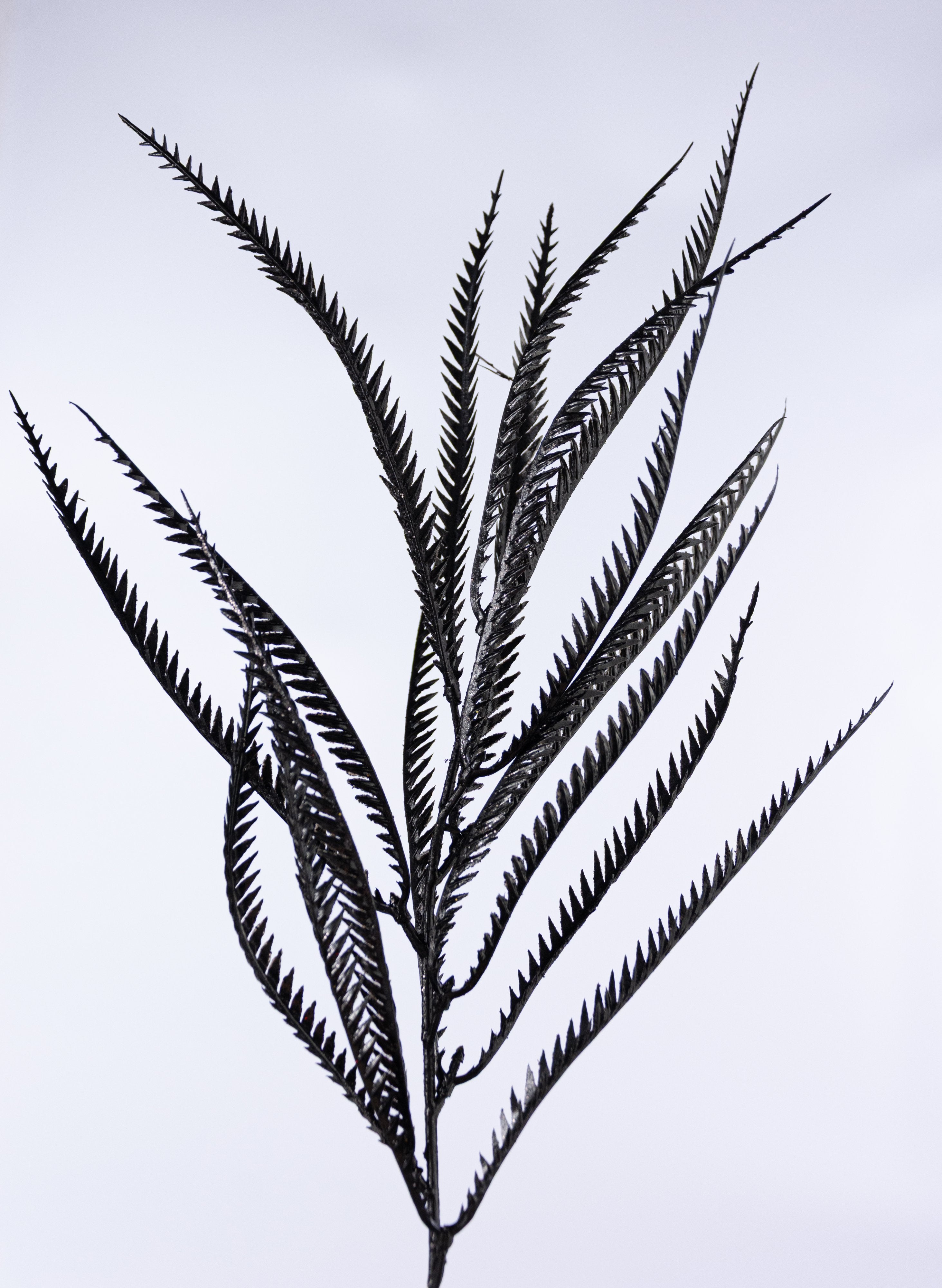 21" Glittered Sword Fern Bush: Black detail photo 4