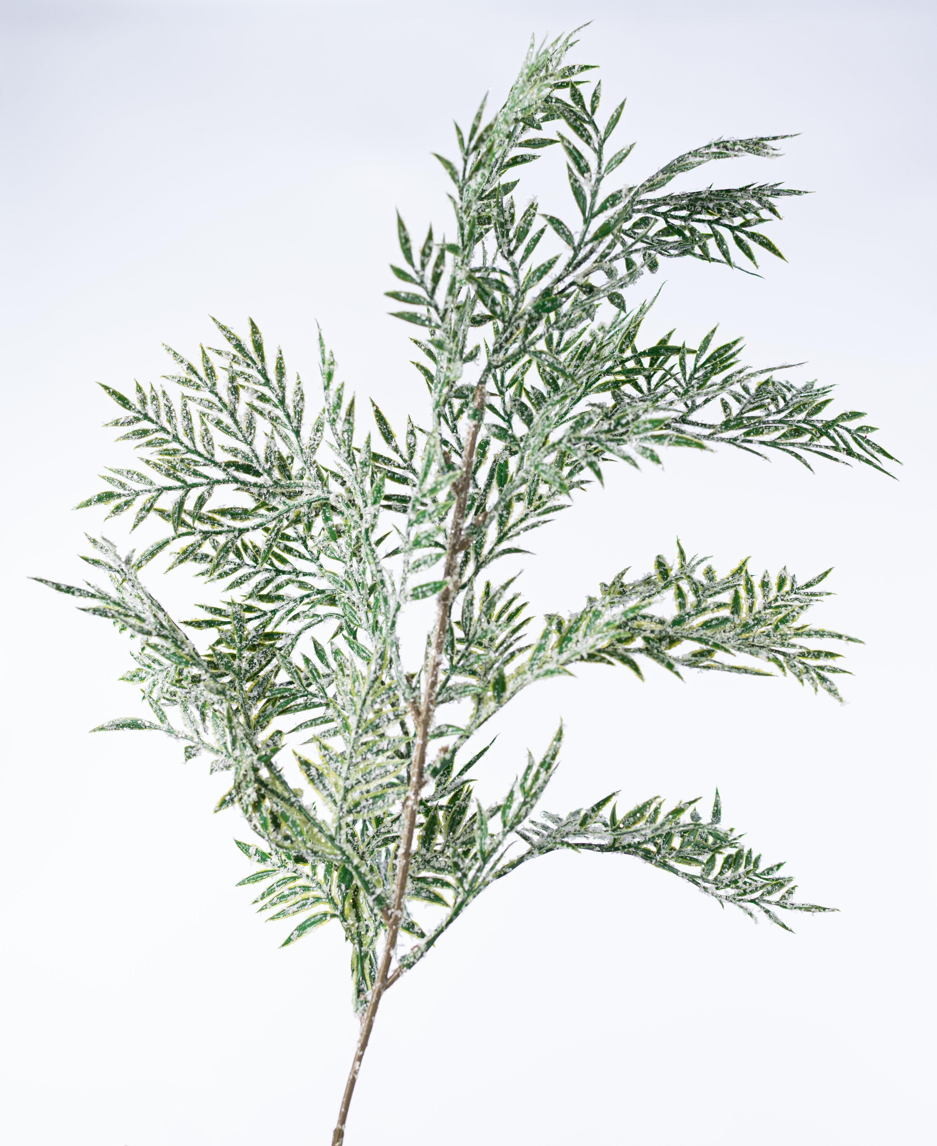 21" Iced Plastic Leaf Bush detail photo 4