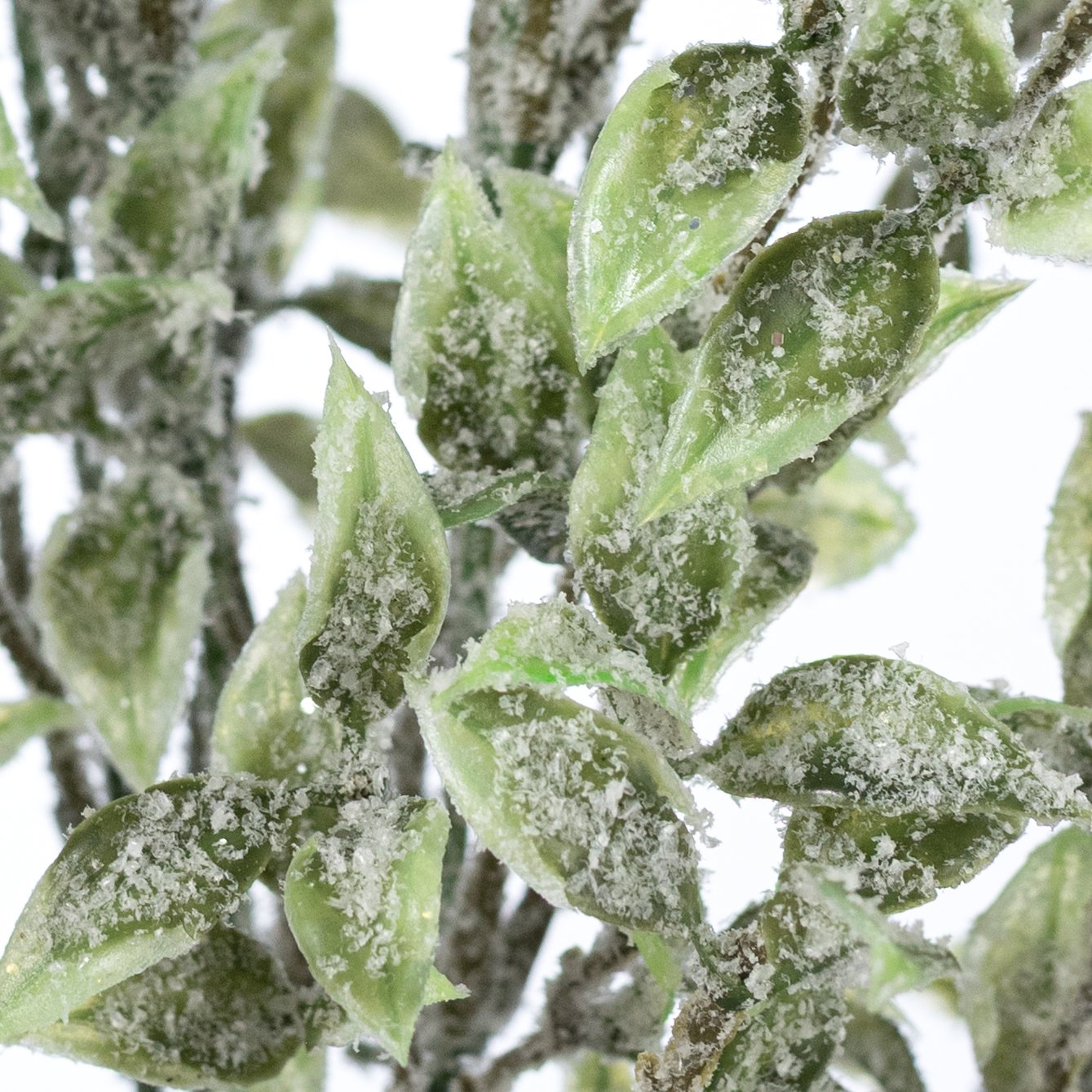 21" Iced Tea Leaf Bush (9 Stem) detail photo 4