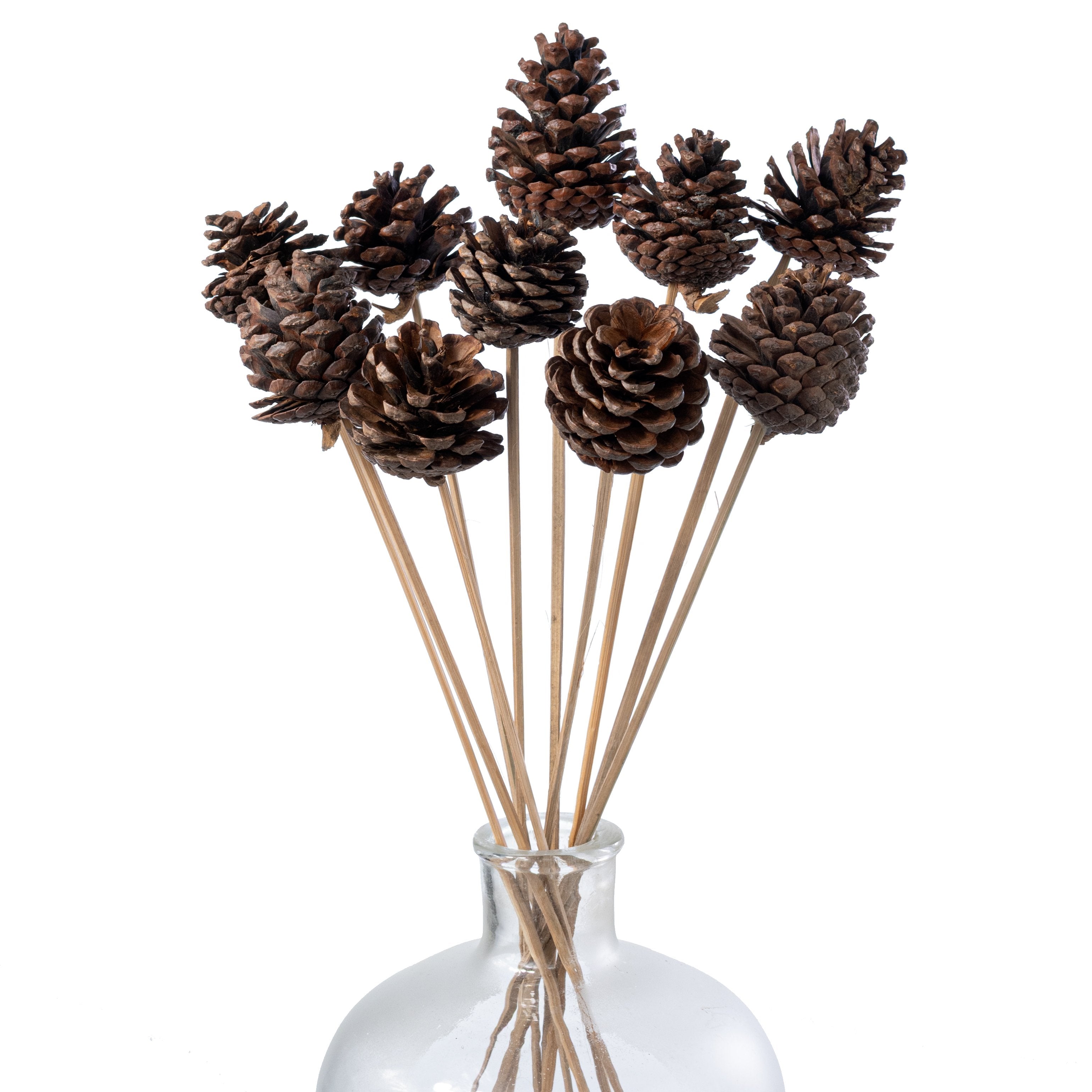 21" Medium Pinecones on Bamboo Picks (Pack of 10) Item Number: XD1412