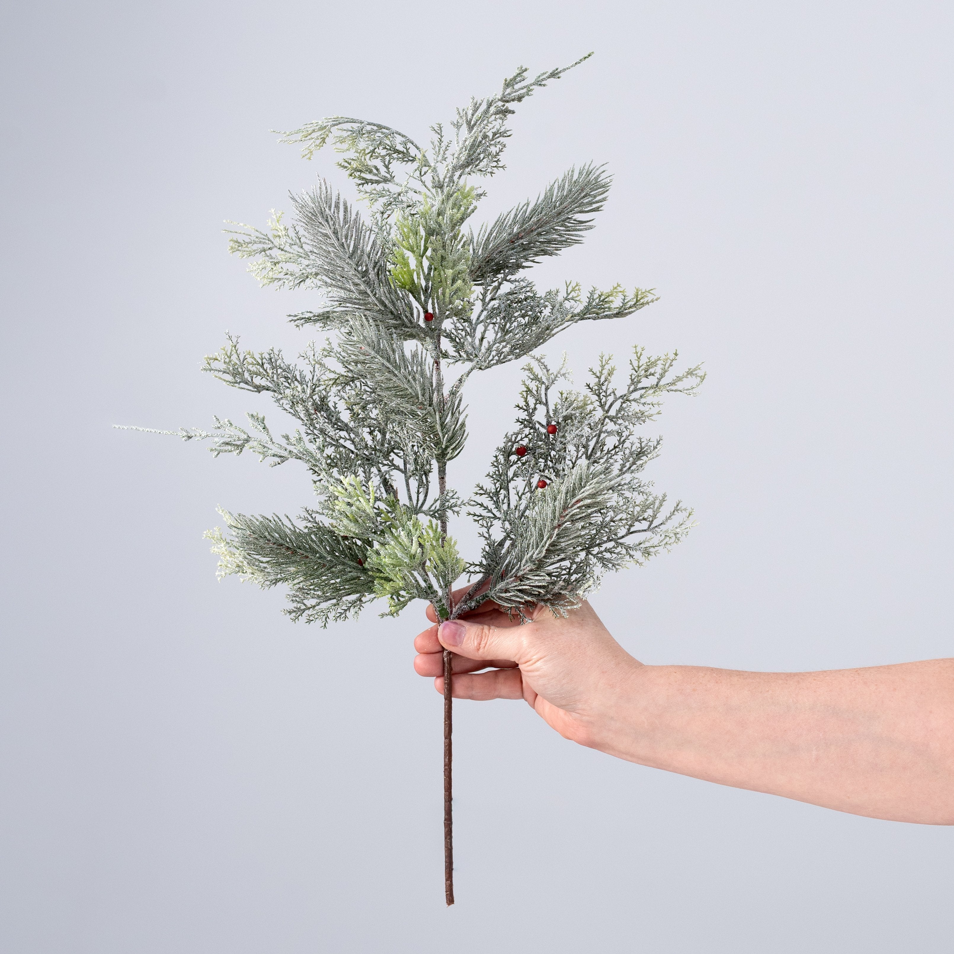 21" Mixed Cedar, Pine & Berry Spray: Frosted Green detail photo 3