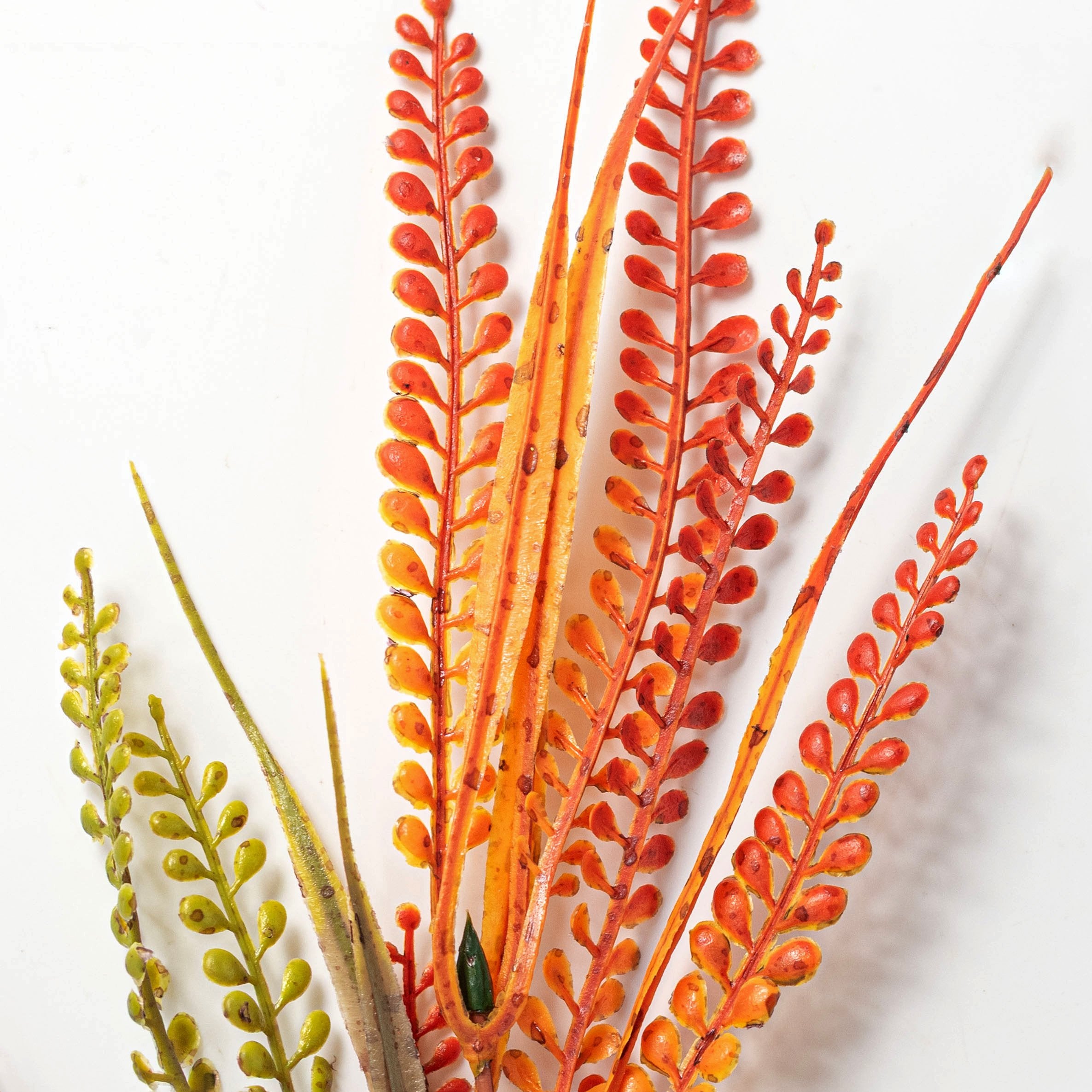 21" Plastic Button Fern Bush: Fall Mix (12 Stem) Lifestyle Photo
